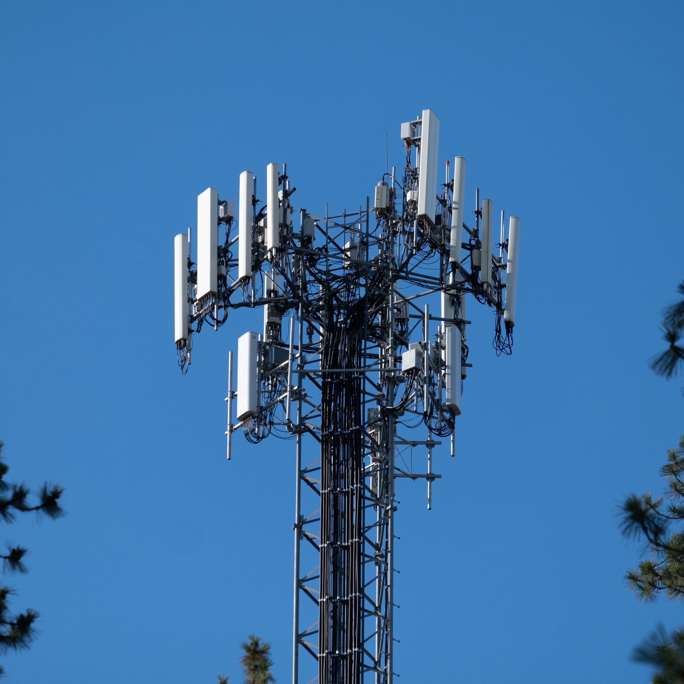 Photo of a 5G cell tower