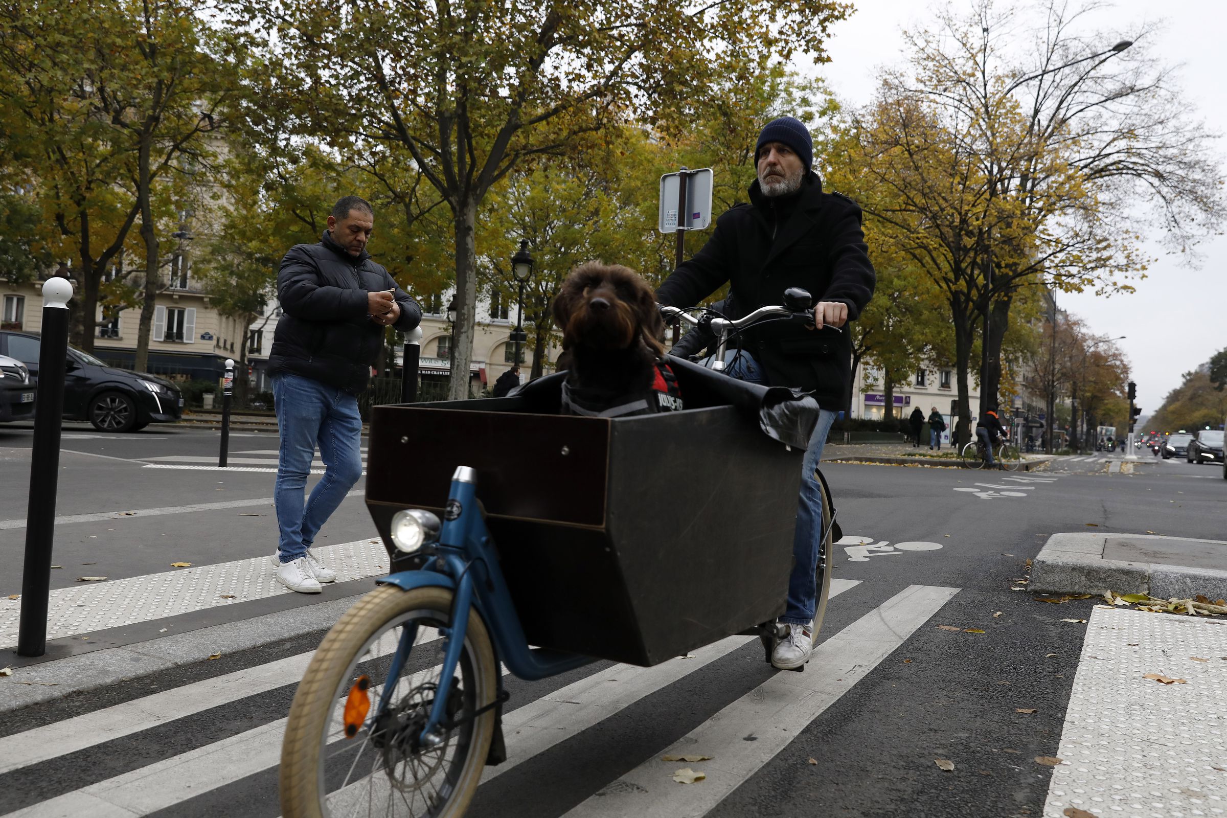 Paris Goes Green As Cycle Paths Expand In Urban Sustainability Bid