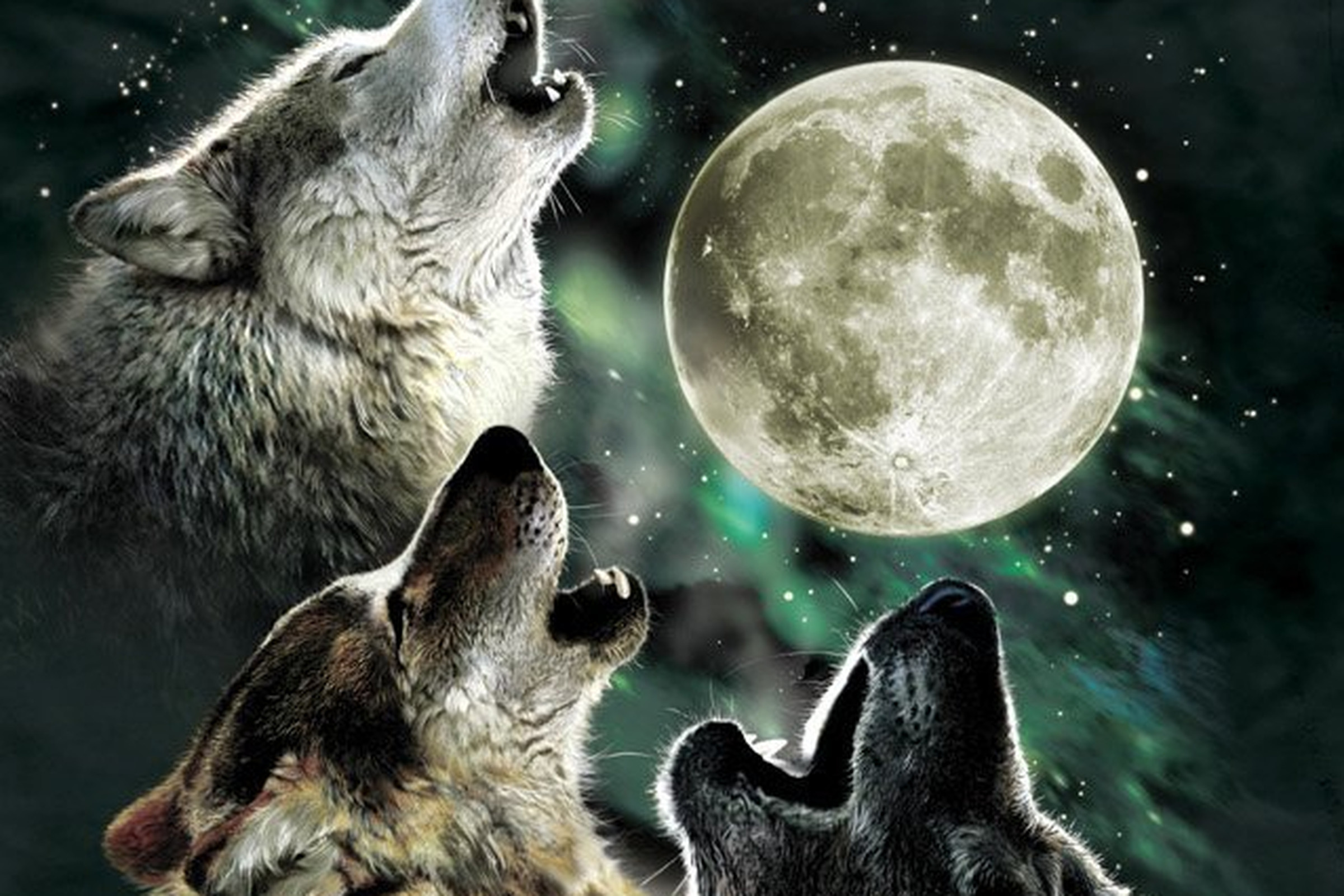 Three Wolf Moon shirt