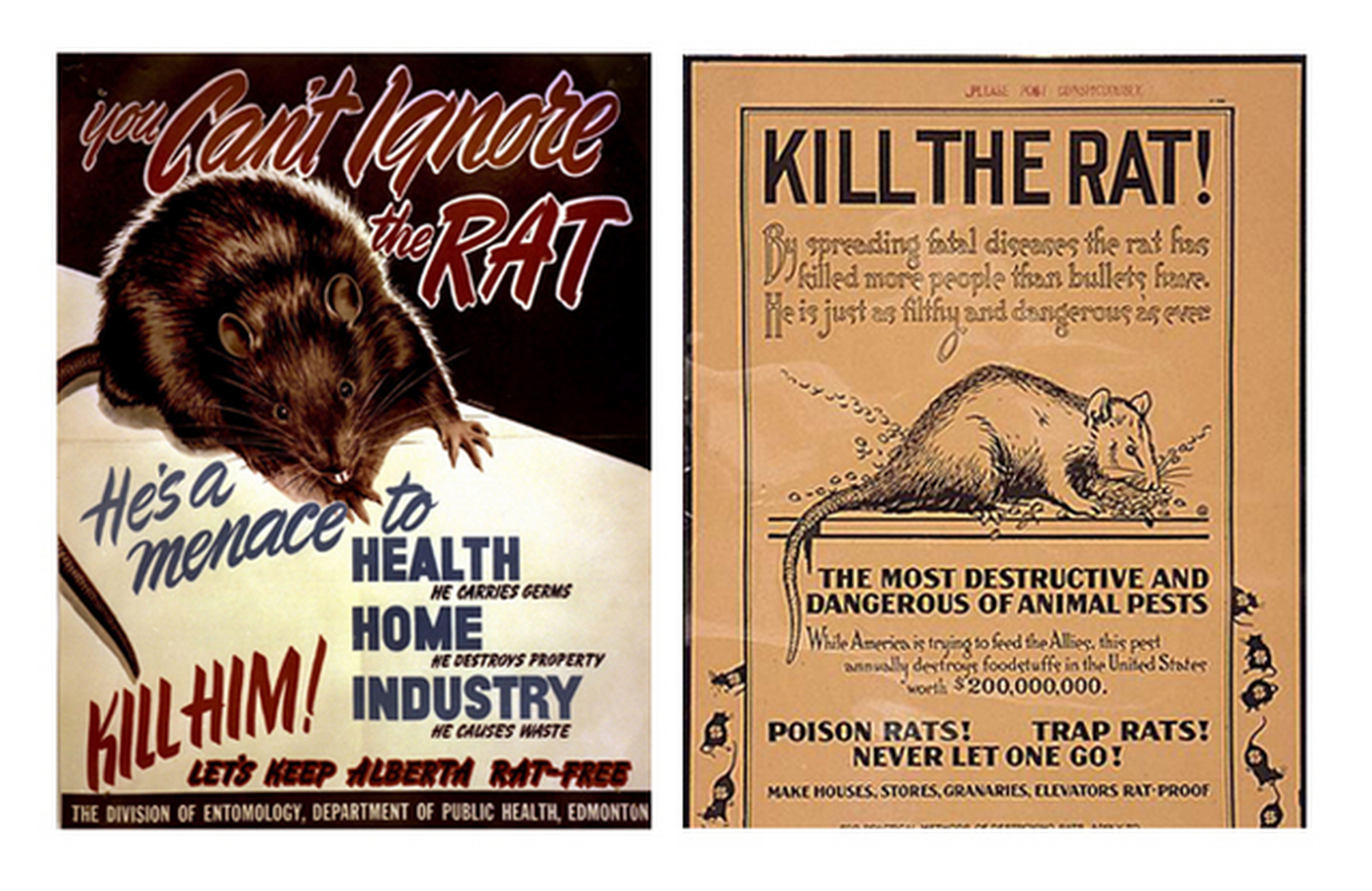 rat propaganda