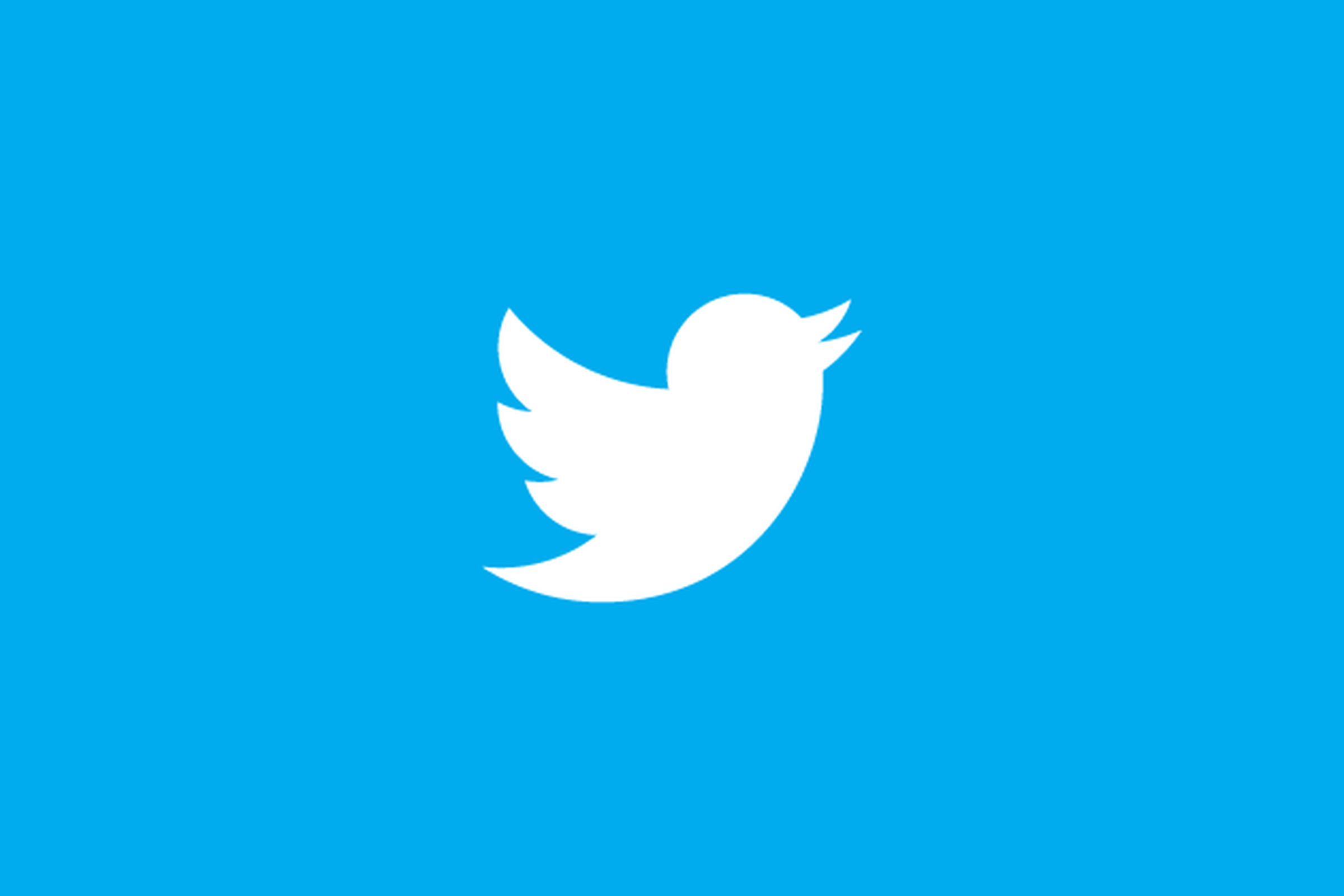 new twitter bird