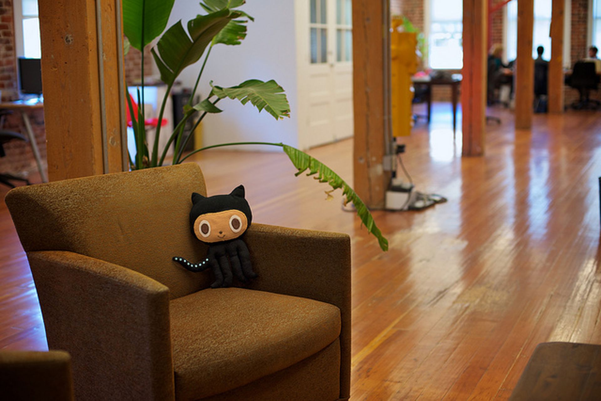 Github Apologizes For Vagueness Reveals New Details About Sexism Investigation The Verge