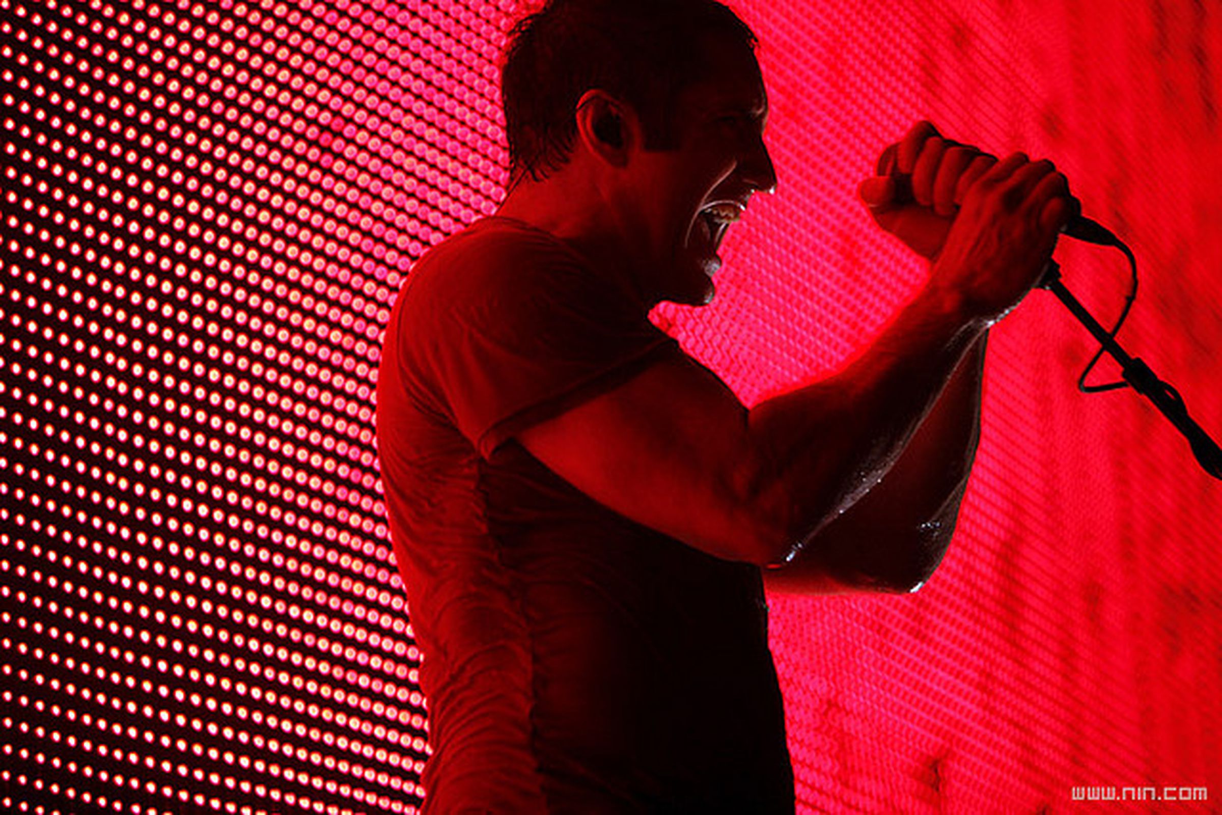 Nine Inch Nails  - Trent Reznor