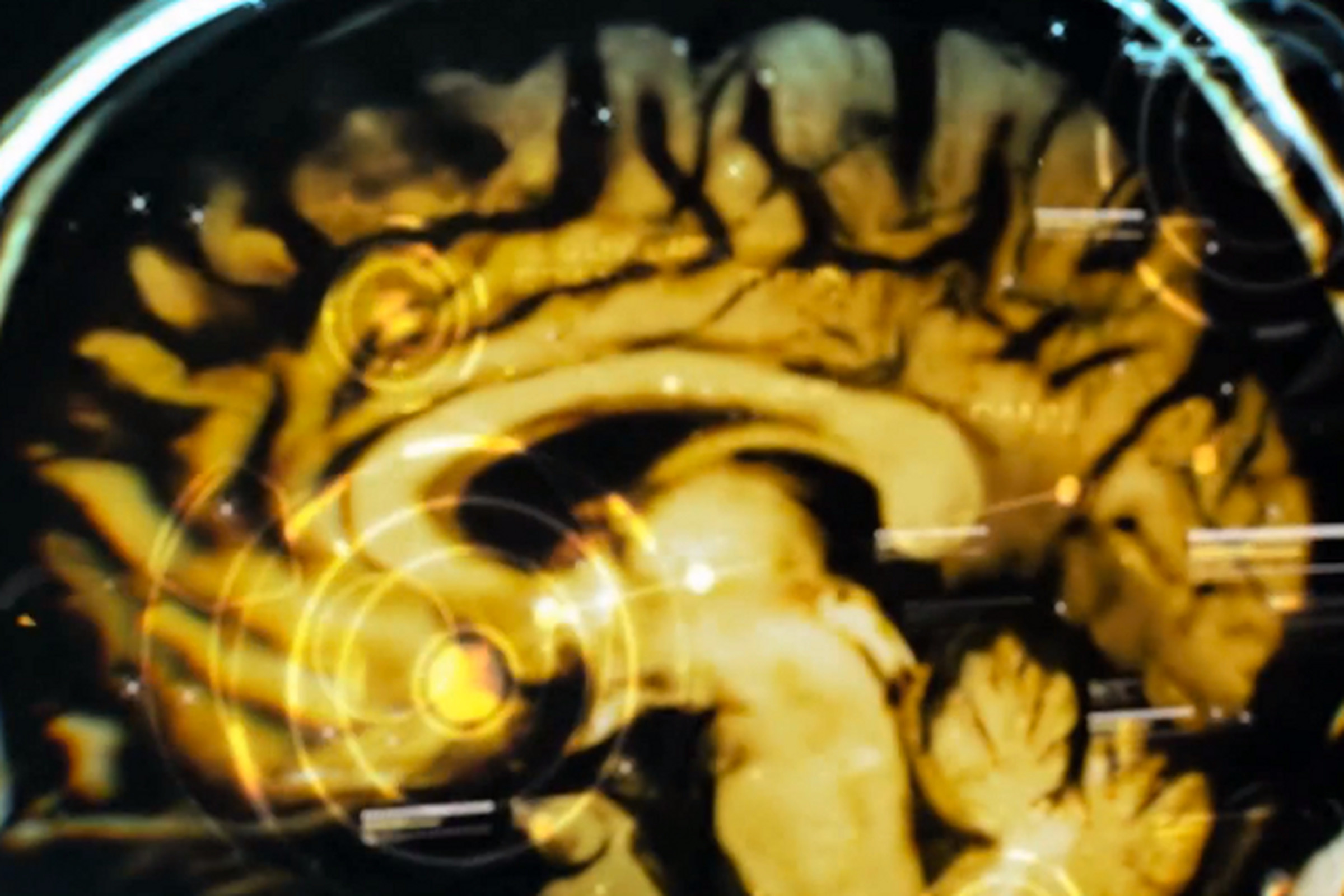Deus Ex Brain