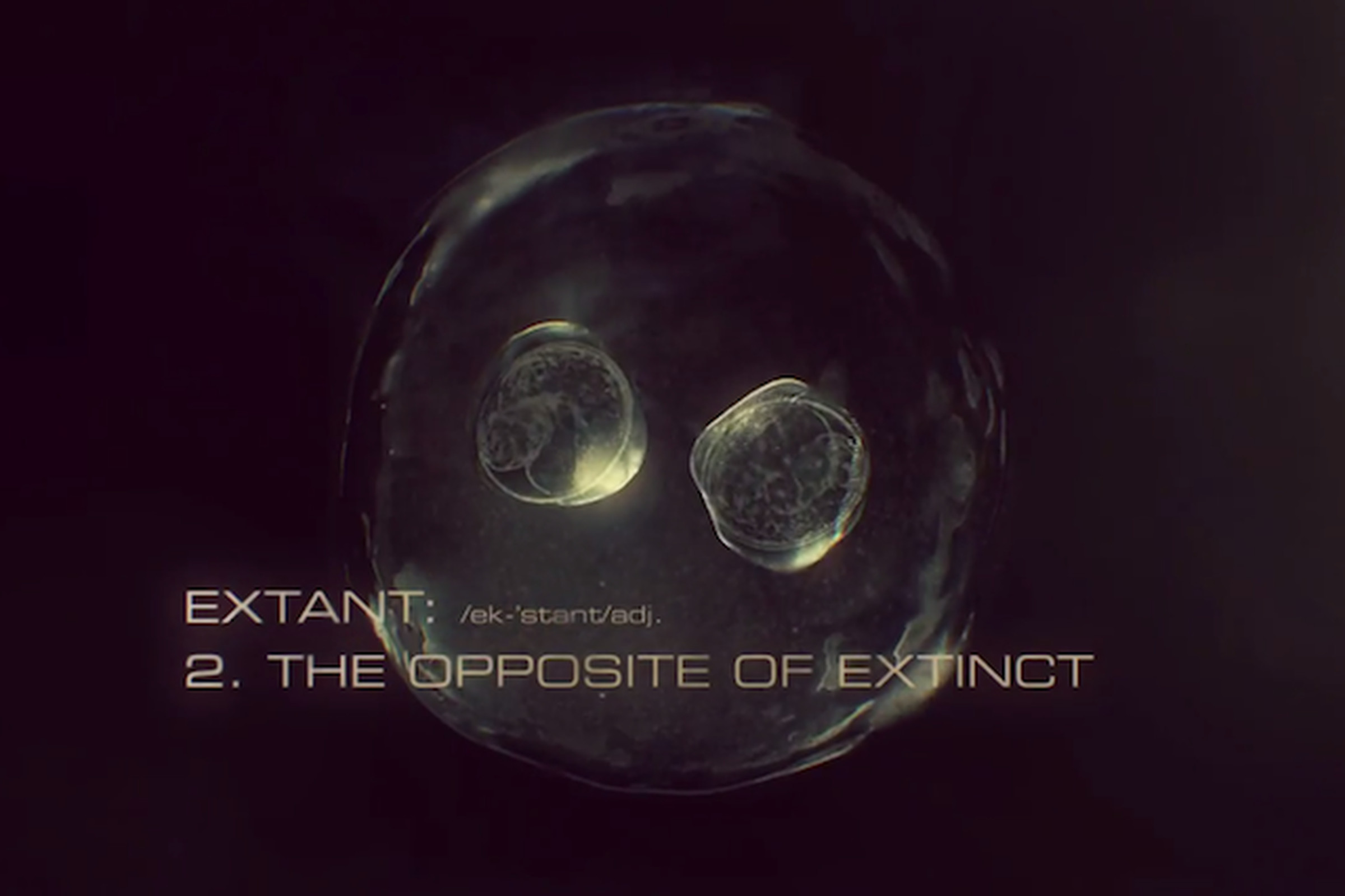 extant (teaser crop)
