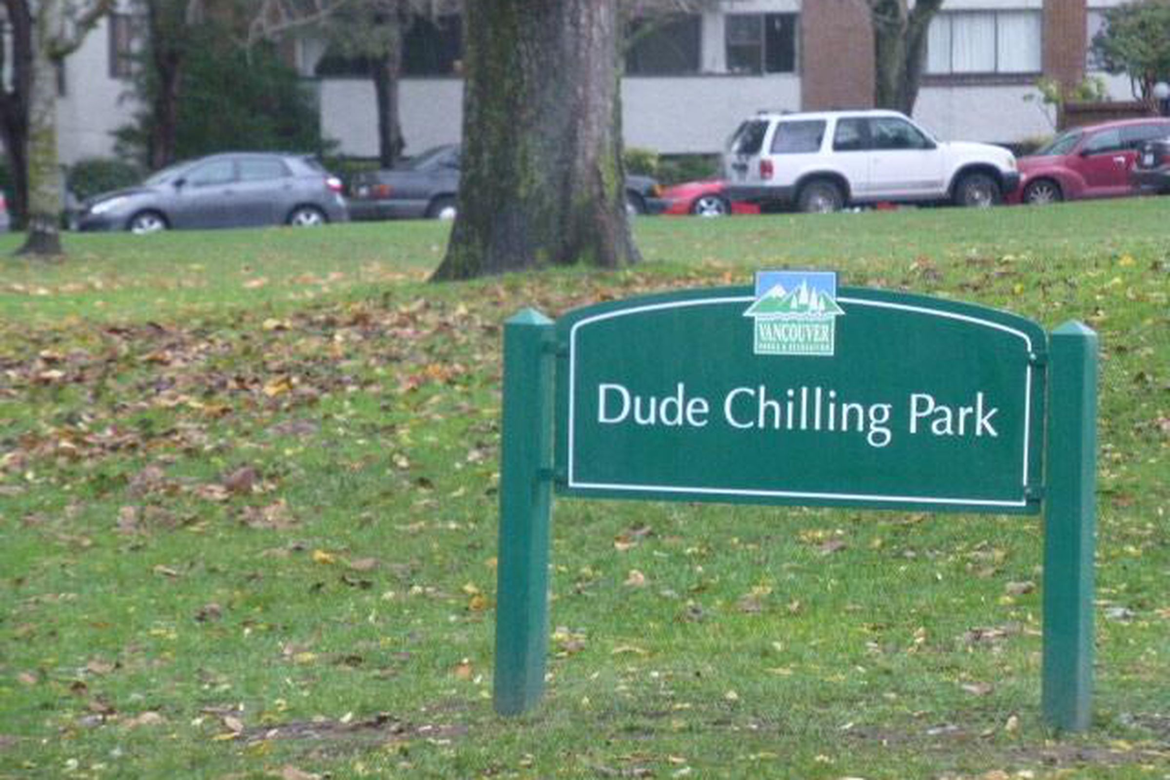 dude chilling park (vancouver park board)