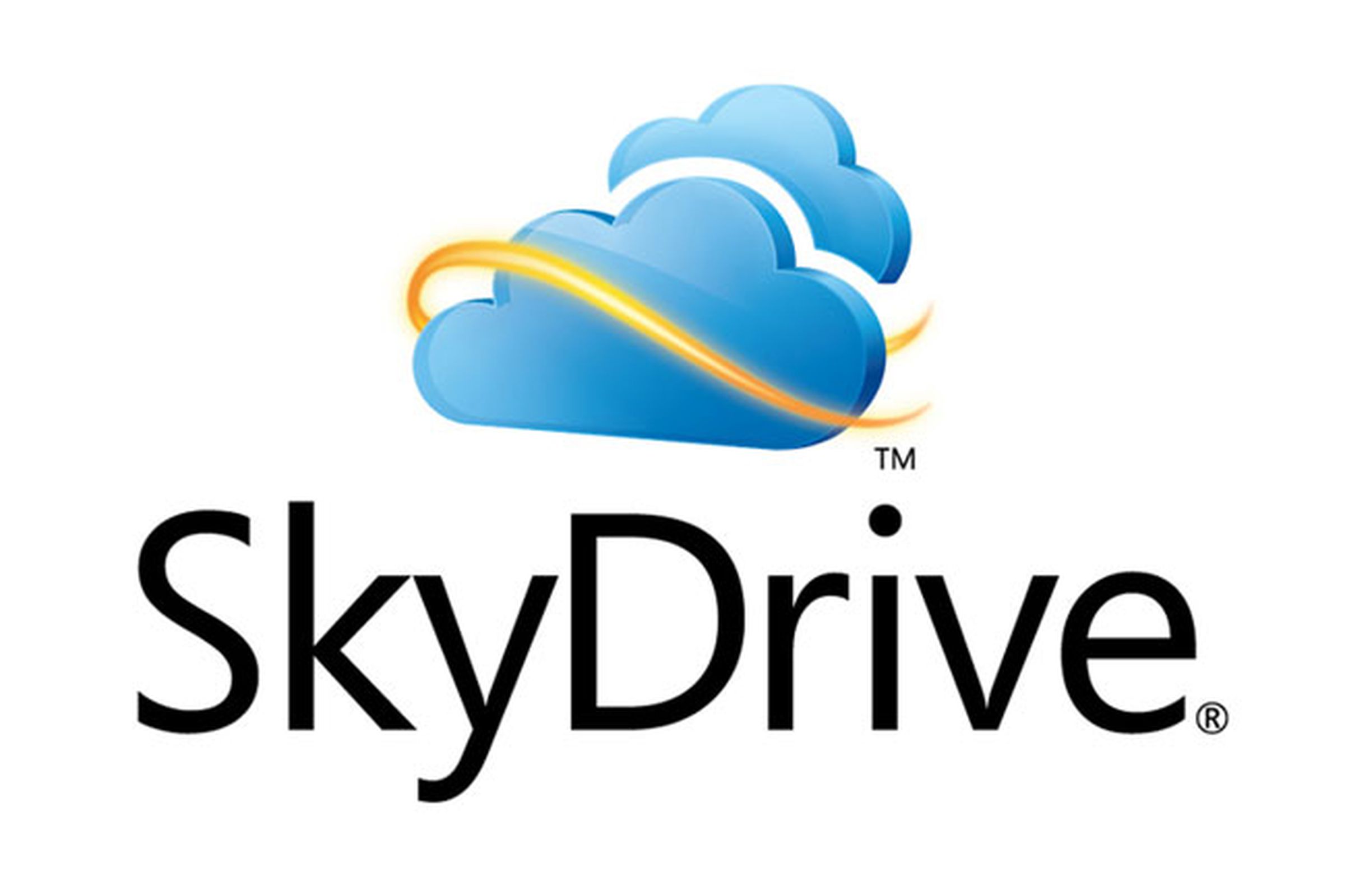 Windows Live SkyDrive logo