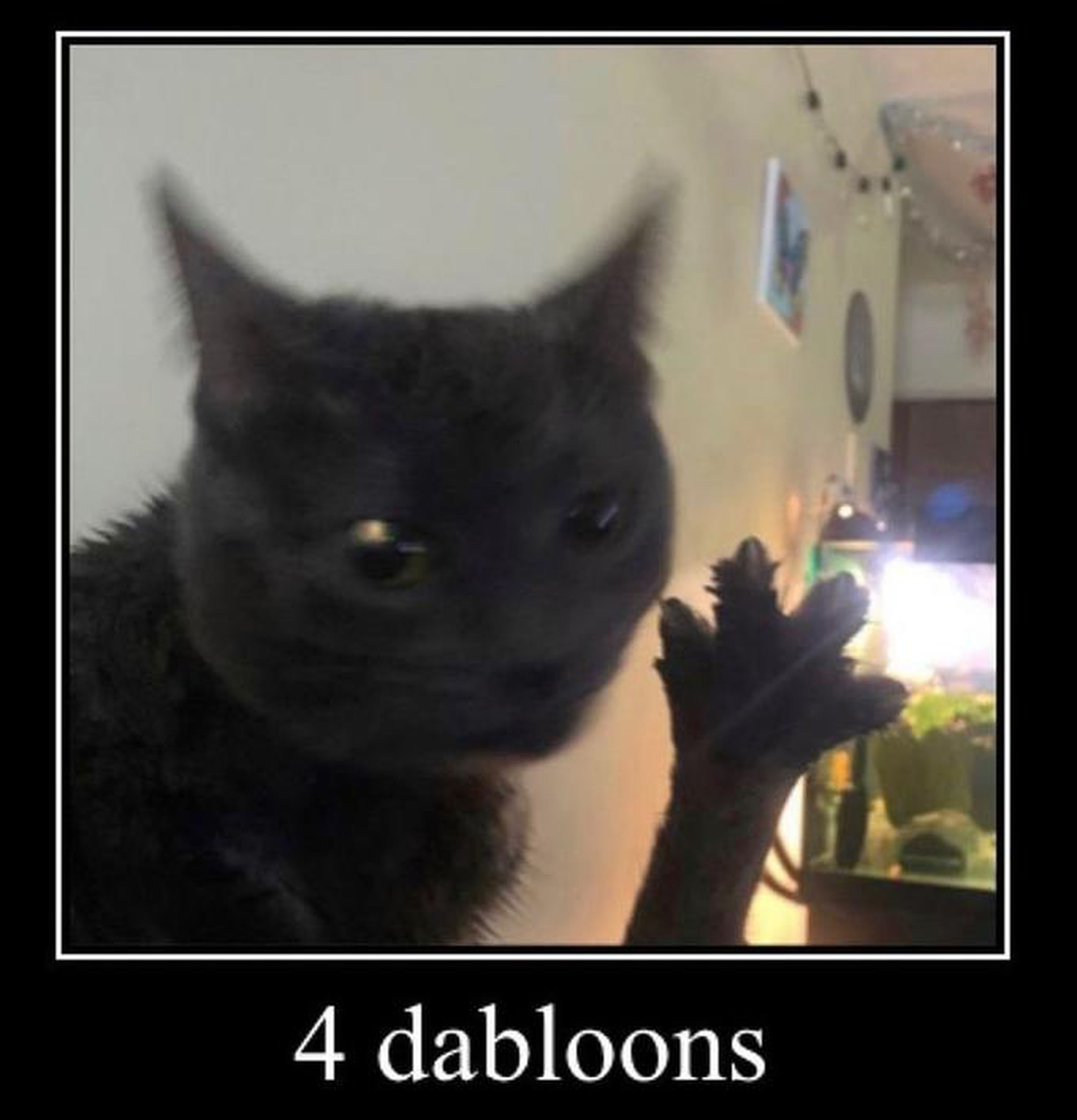 Eine Katze, die eine ausgestreckte Pfote hochhält.  Text unter dem Bild sagt „4 dabloons“.