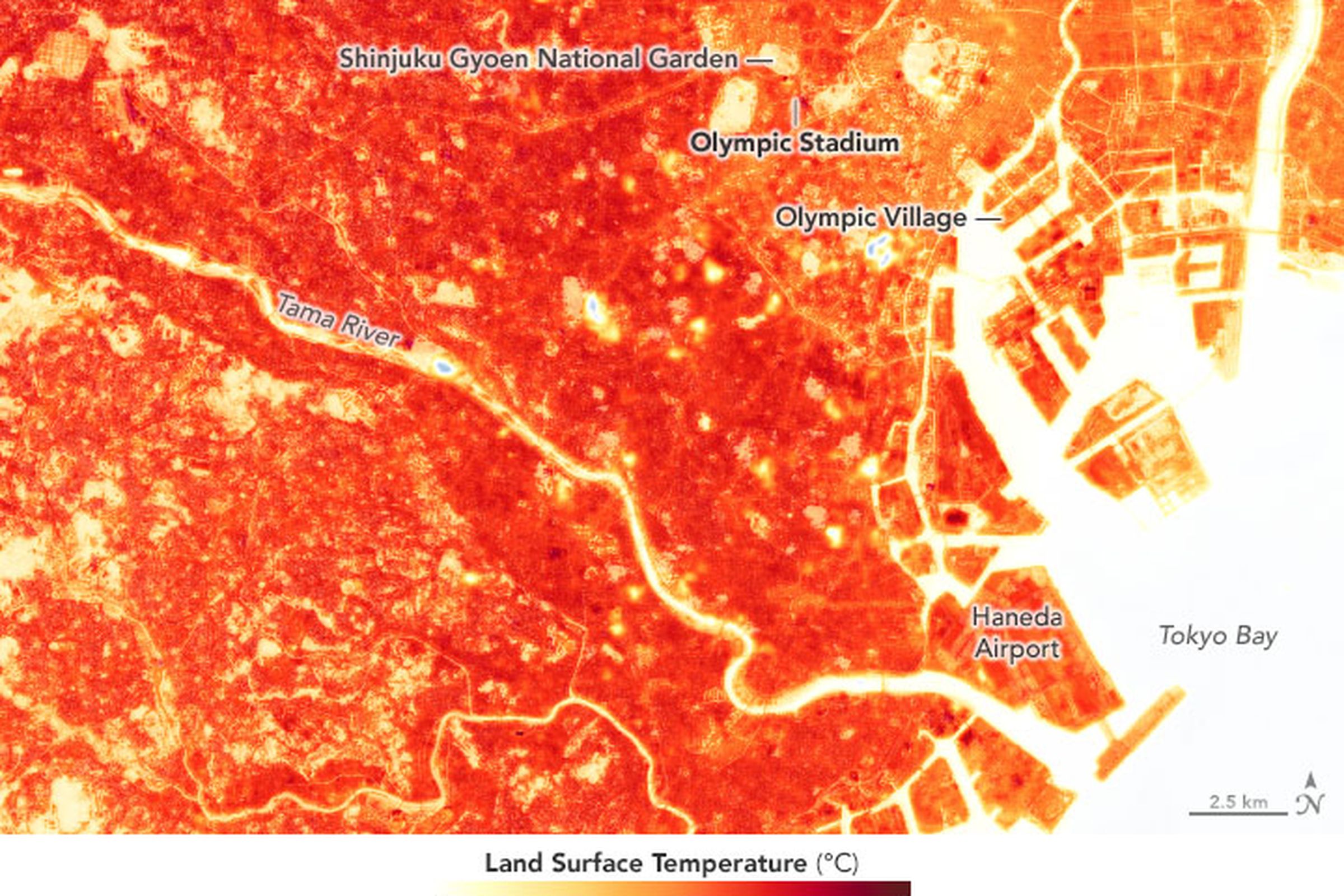 Land surface temperatures in Tokyo show that it’s an urban heat island.