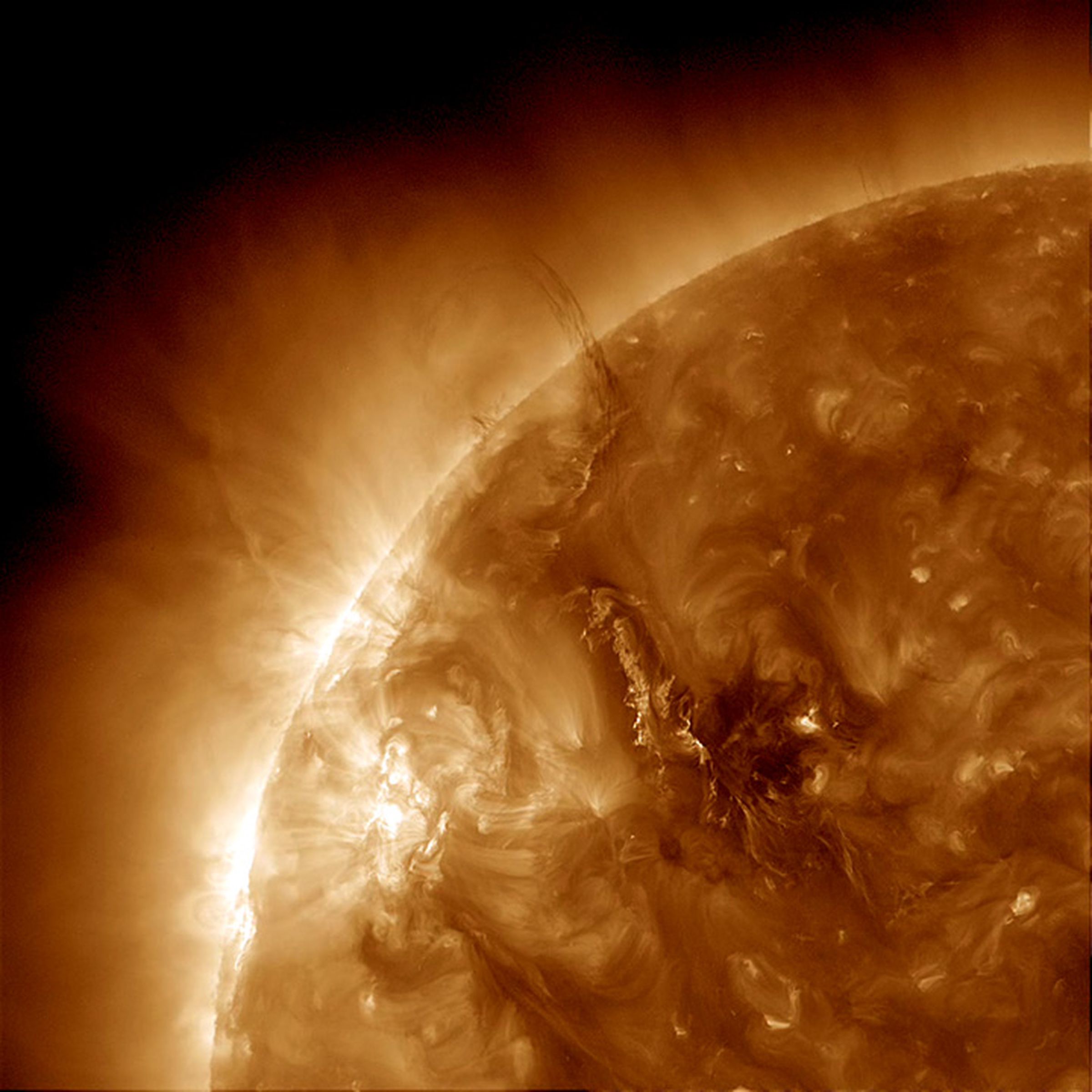 An image of an active region of the Sun’s corona, as seen from NASA’s Solar Dynamics Observatory.