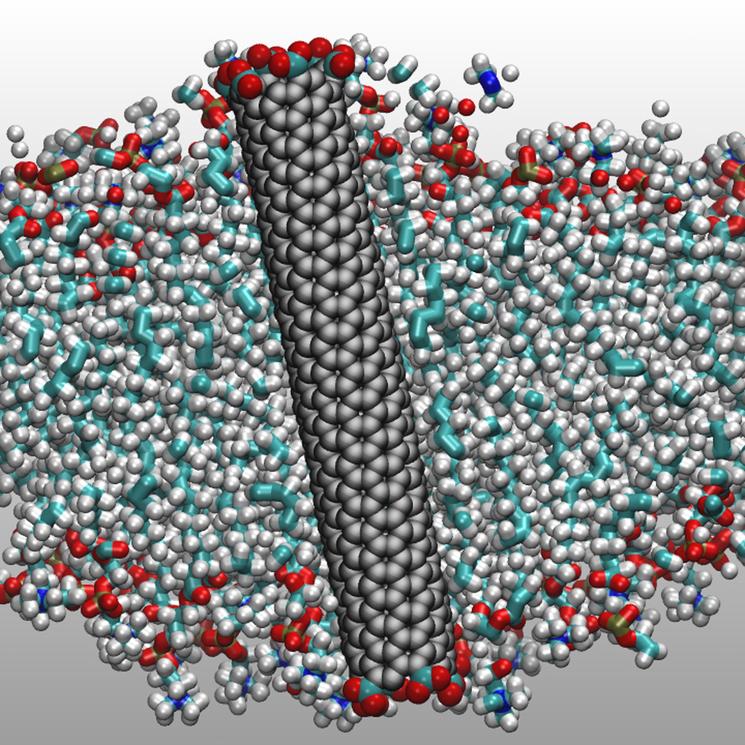 A computer representation of a carbon nanotube.