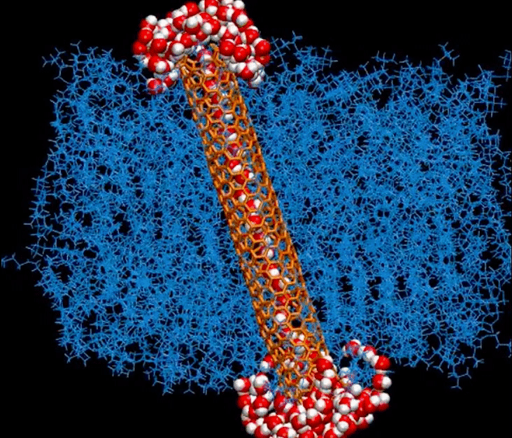 A carbon nanotube channeling water molecules.