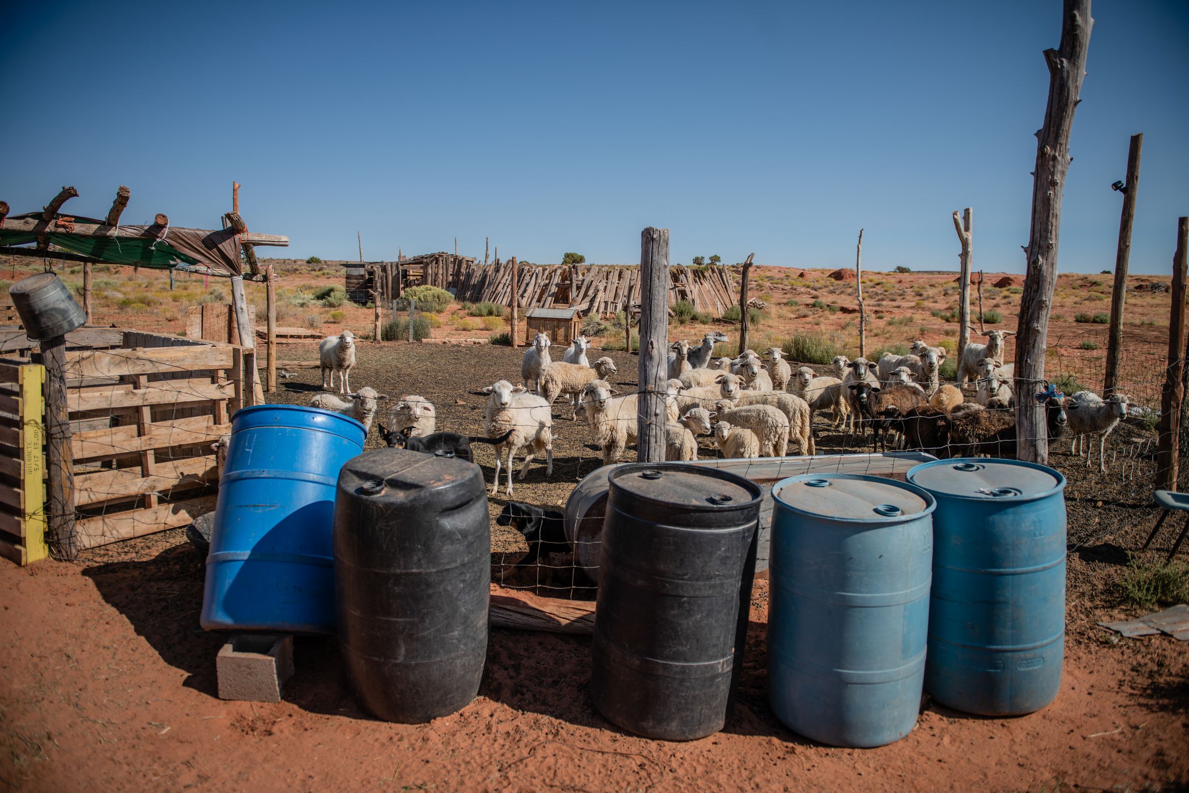 Emma Robbins’ grandmother tended sheep and used the wool for weaving rugs. Water storage barrels are pictured on a farm on the Navajo Nation.
