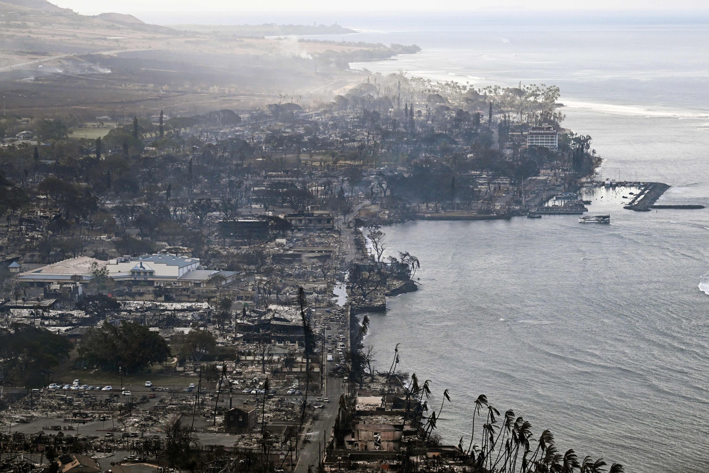Burned homes, buildings, and trees along a shoreline, photographed from above