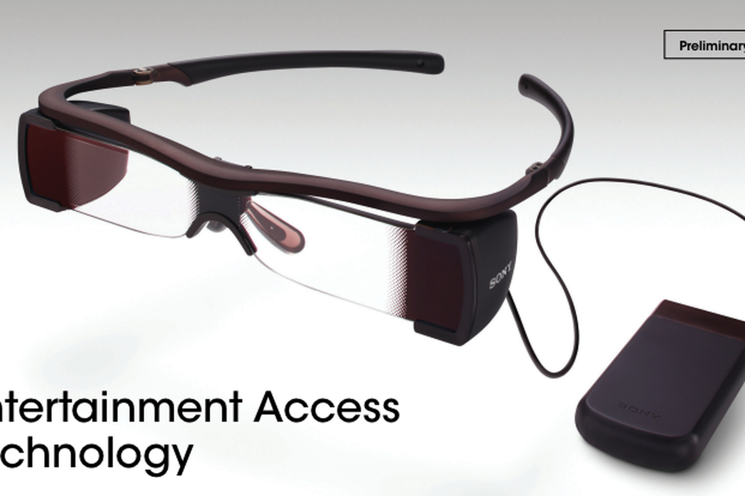Sony Access Glasses