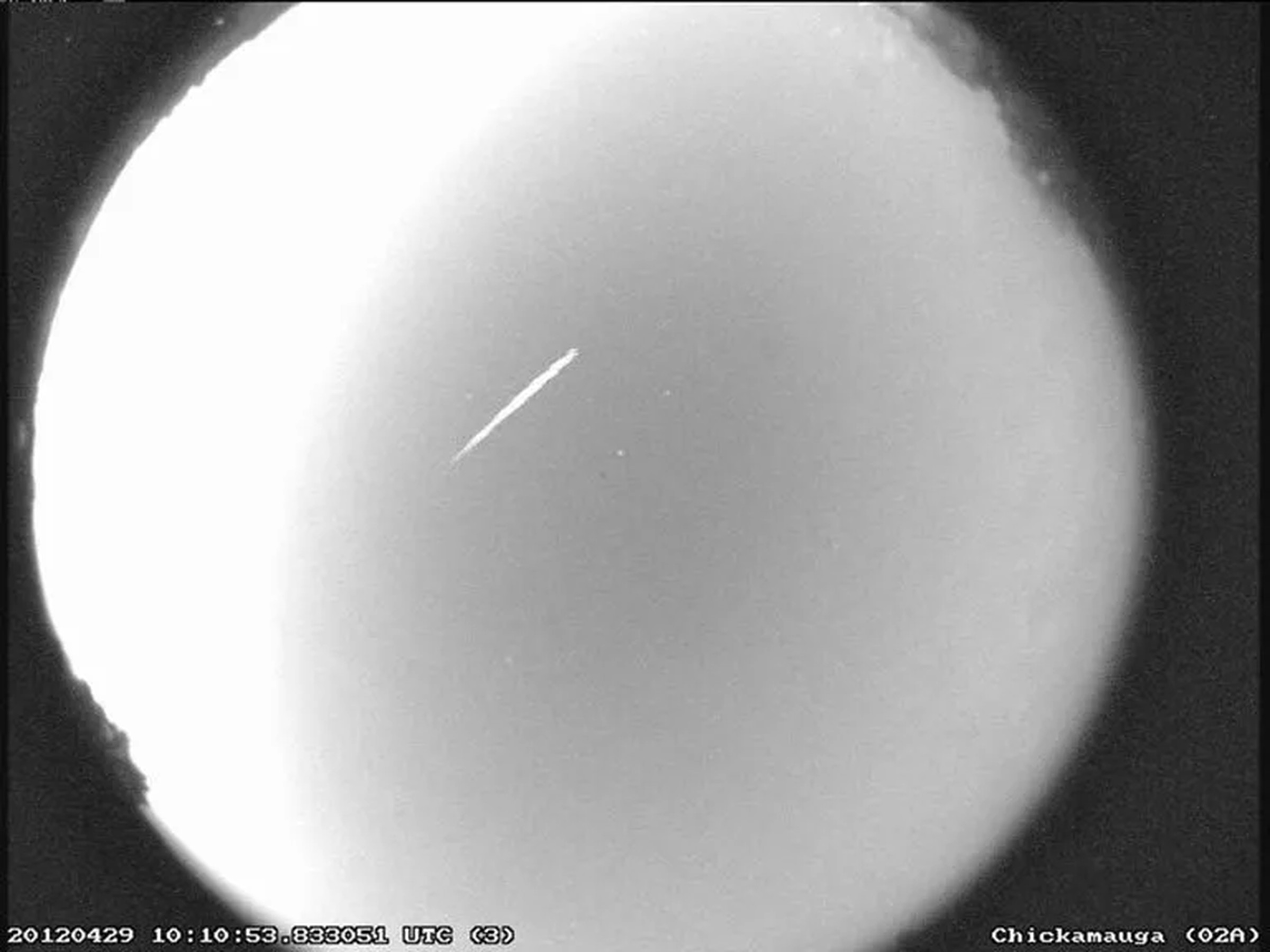 A black-and-white picture of a long-tailed meteor.