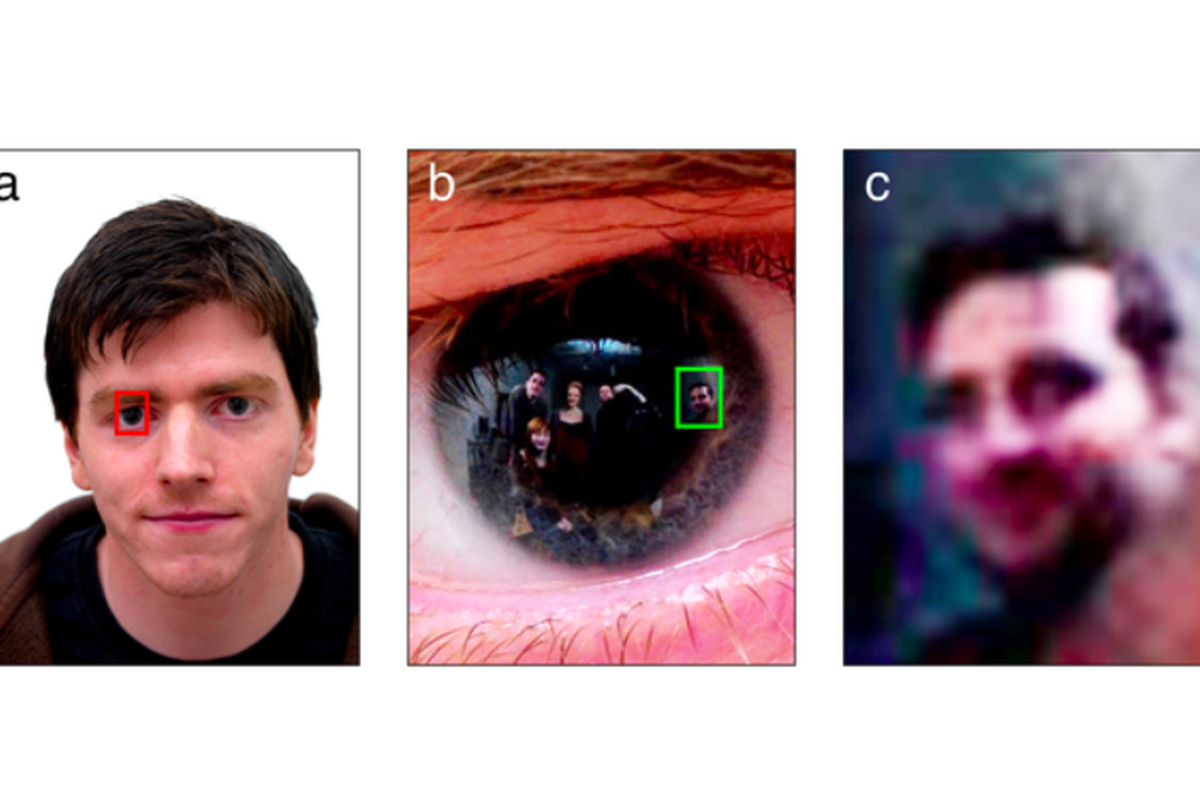 pupil facial recognition study