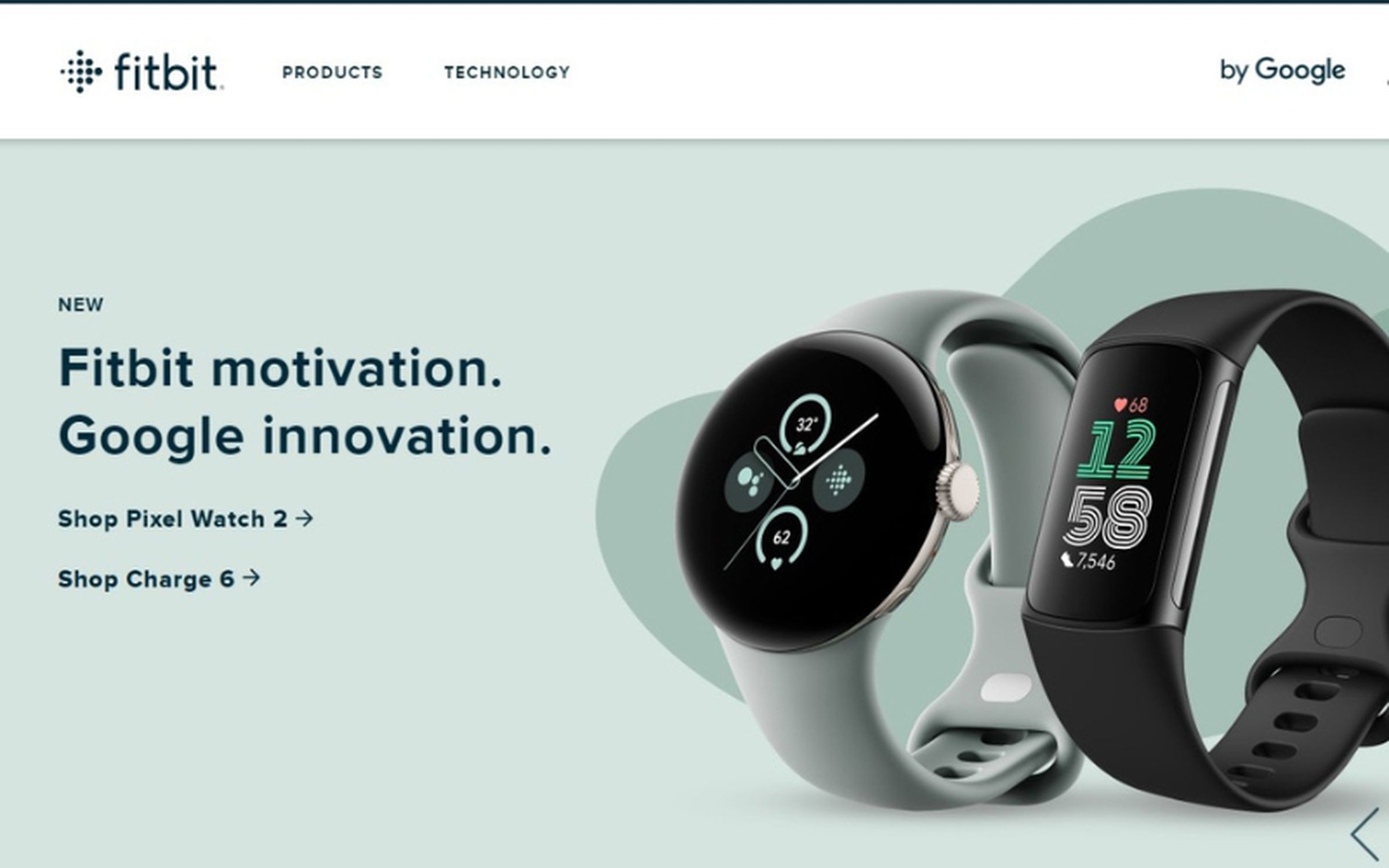 A screenshot taken of the Fitbit website showing older branding.