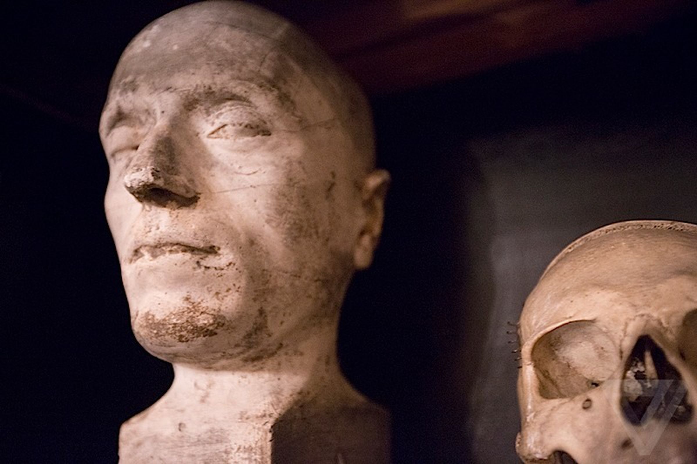 Photos: Brooklyn's Morbid Anatomy Museum