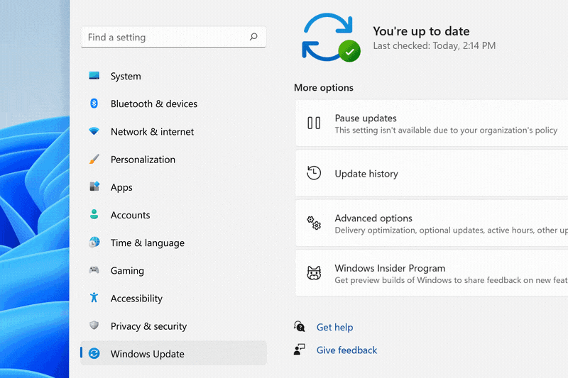 A settings menu on Windows 11 with illustrated icons