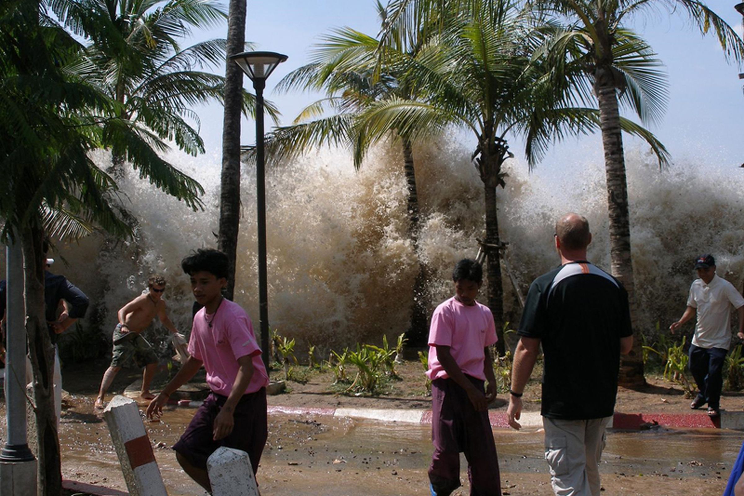 tsunami (wikimedia)