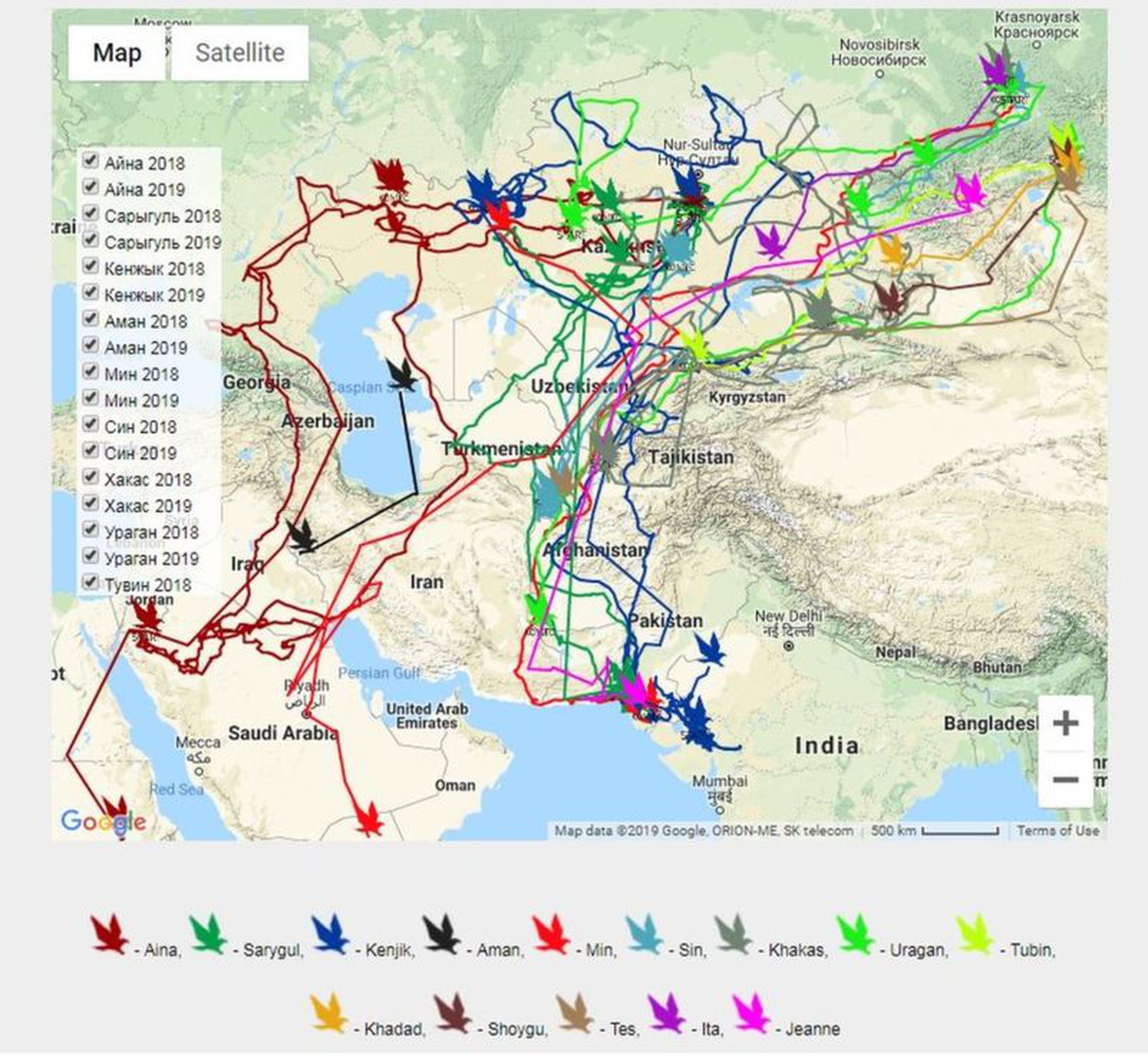 The eagles’ migration routes.