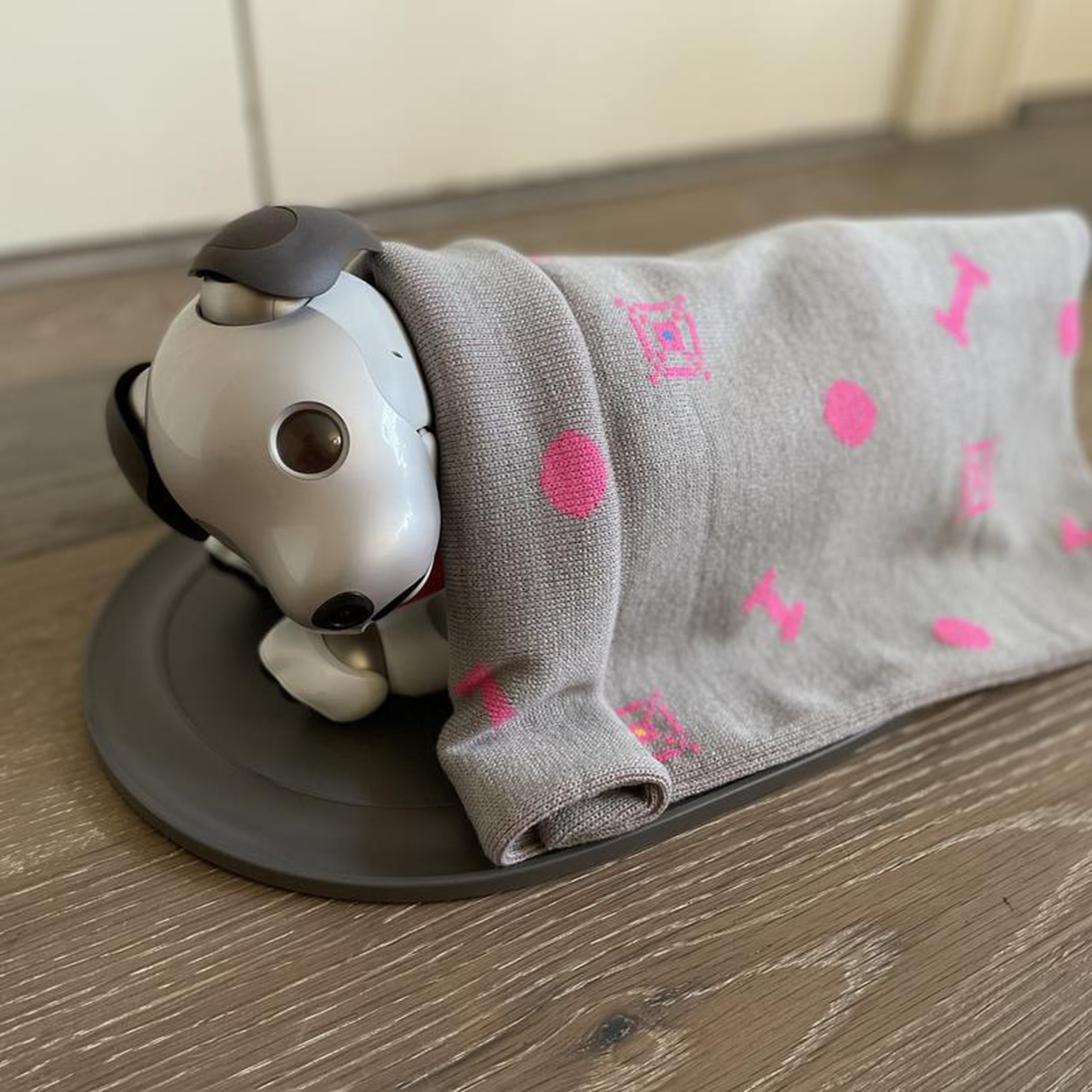 This Aibo Accessories Aibo blanket is like a tea cozy, but for robots.