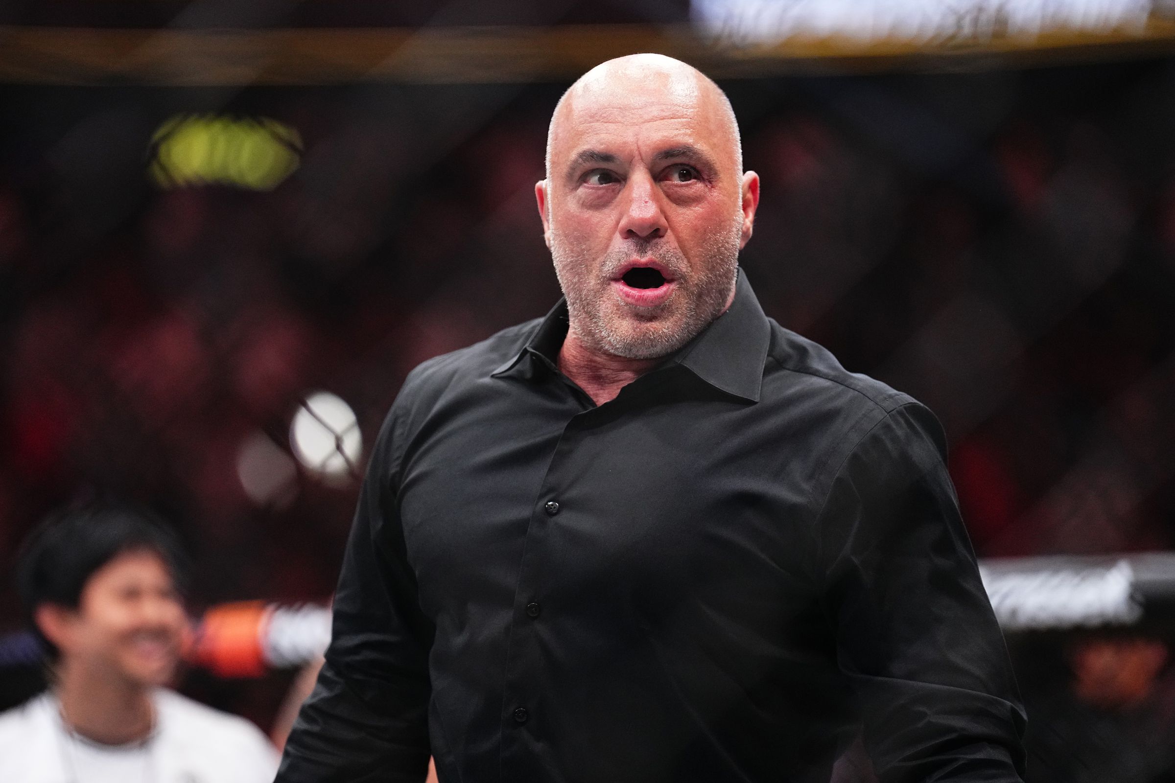 LAS VEGAS, NEVADA - APRIL 13: Joe Rogan reacts to the knockout win by Max Holloway in the BMF championship fight during the UFC 300 event at T-Mobile Arena on April 13, 2024 in Las Vegas, Nevada.