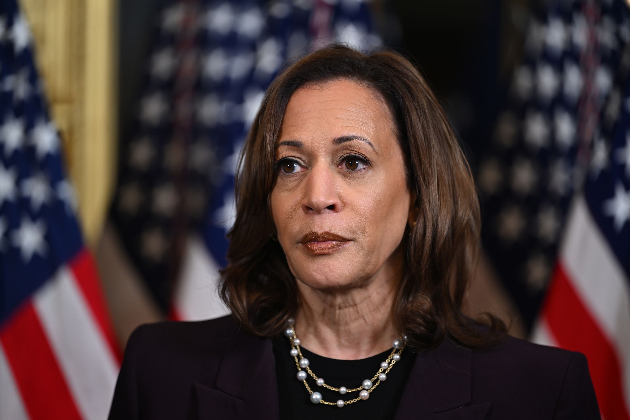 Vice President Kamala Harris