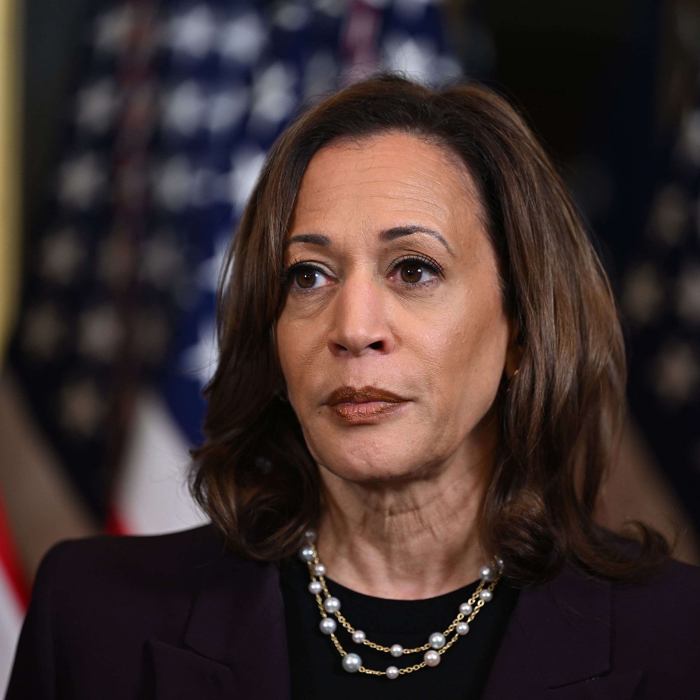 Vice President Kamala Harris