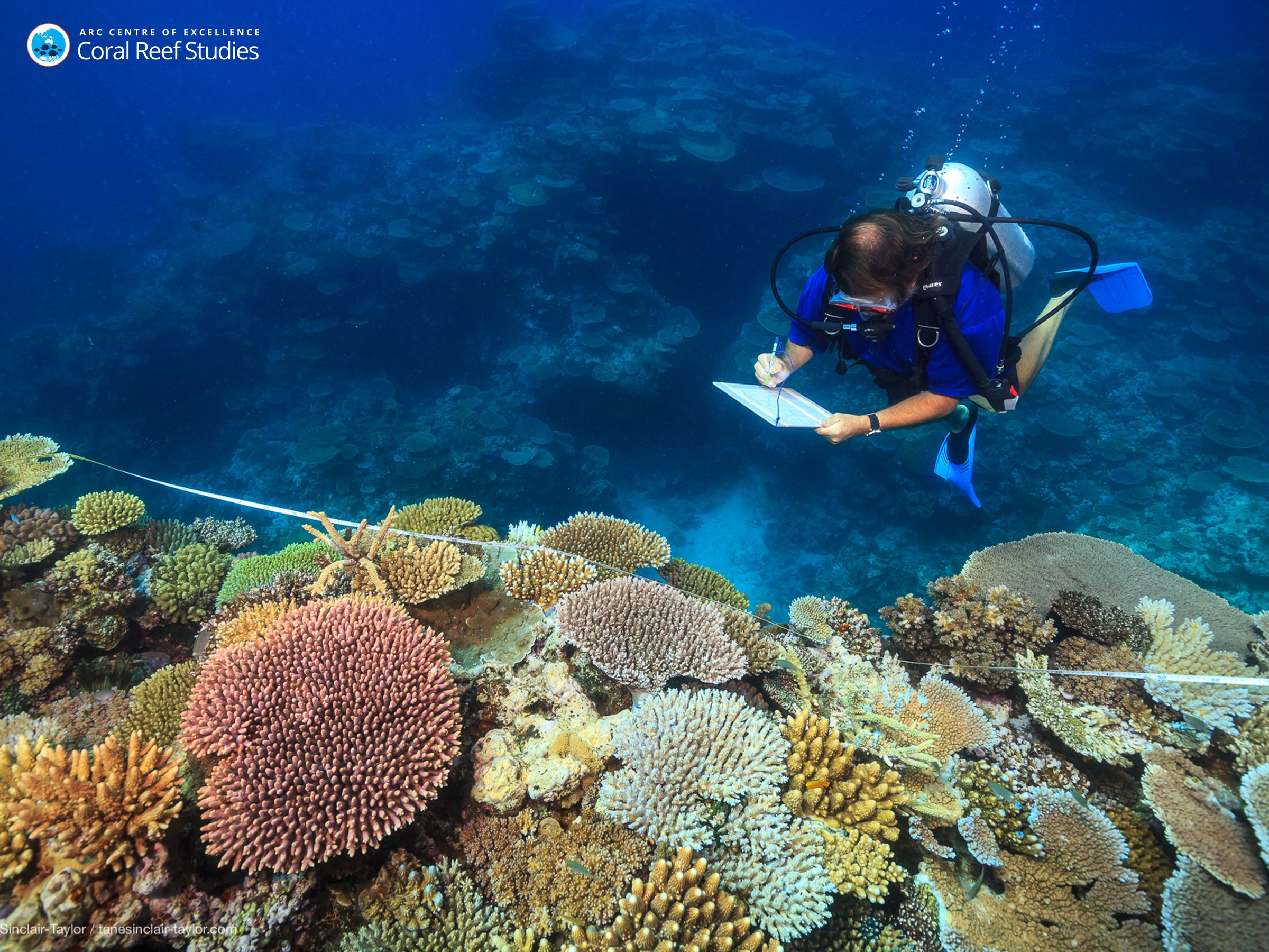 Scientist Andrew Baird surveying healthy reefs on the Great Barrier Reef in October 2016.