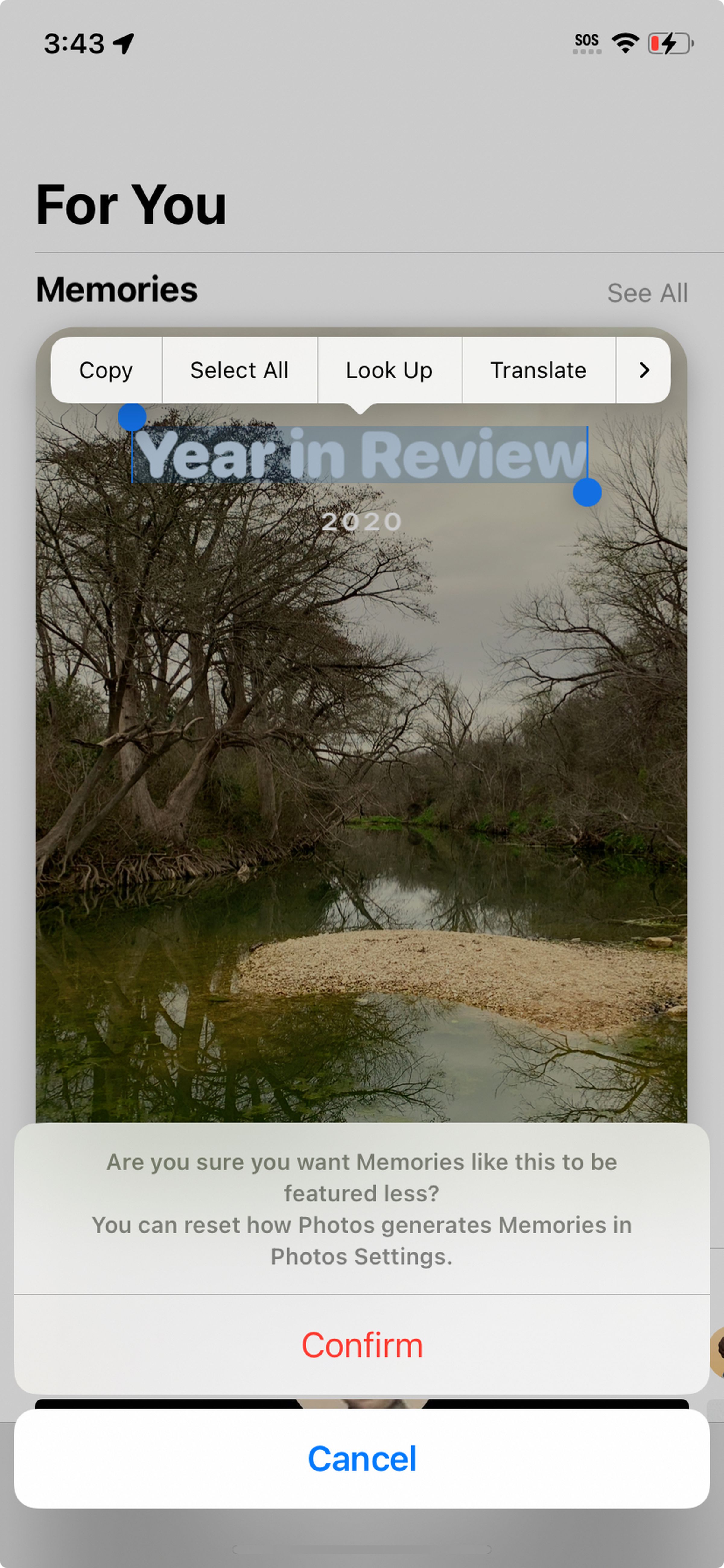 A photo of a landscape with Year in Review outlined, and a box labeled Copy, Select All, Look Up, and Translate above.