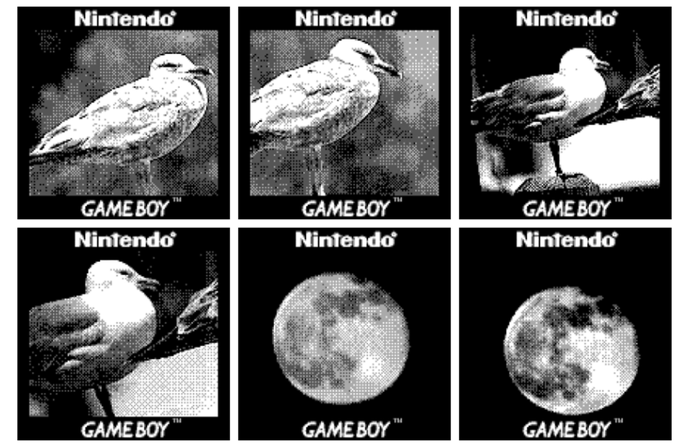 Photos taken with Game Boy Camera