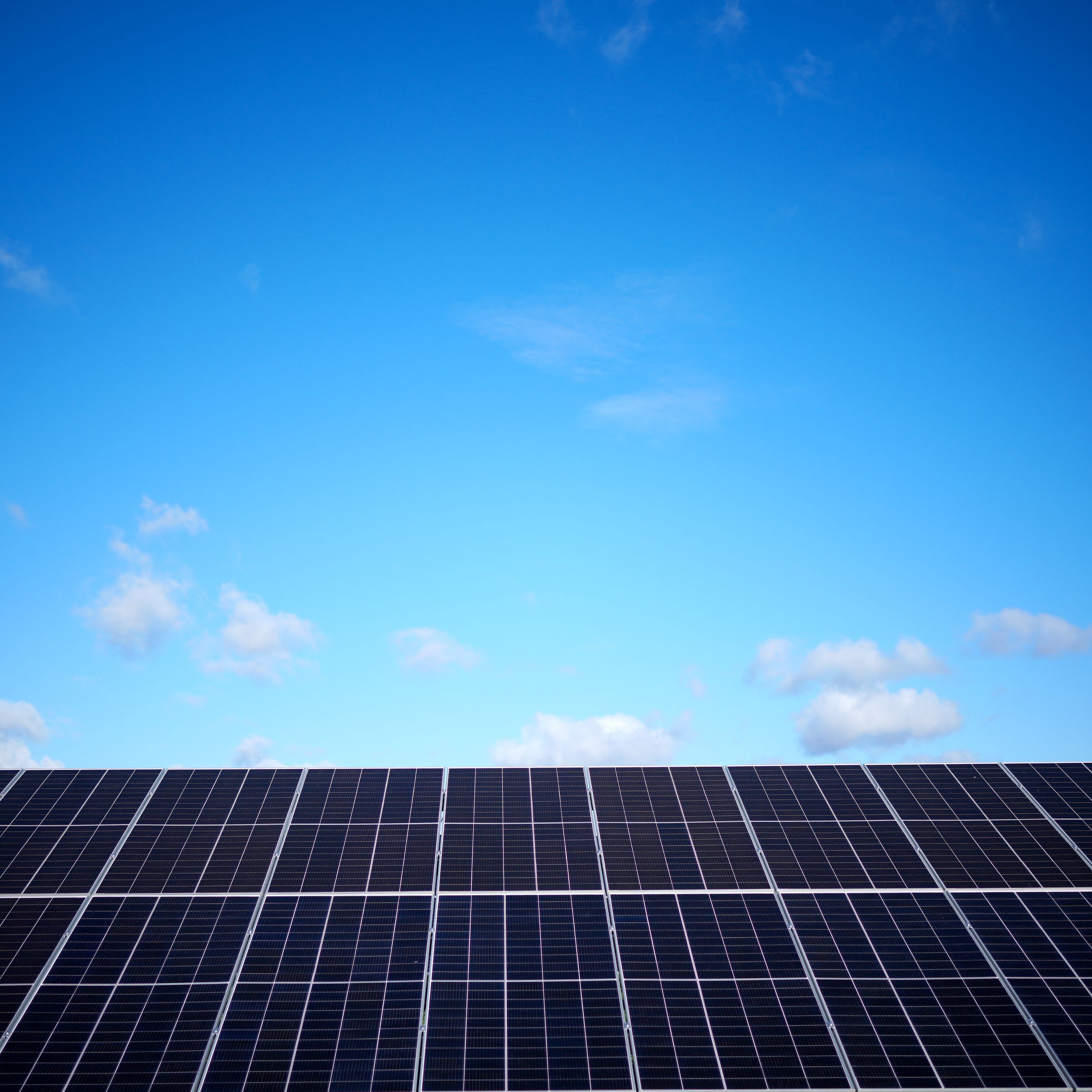 A row of solar panels below a blue sky.