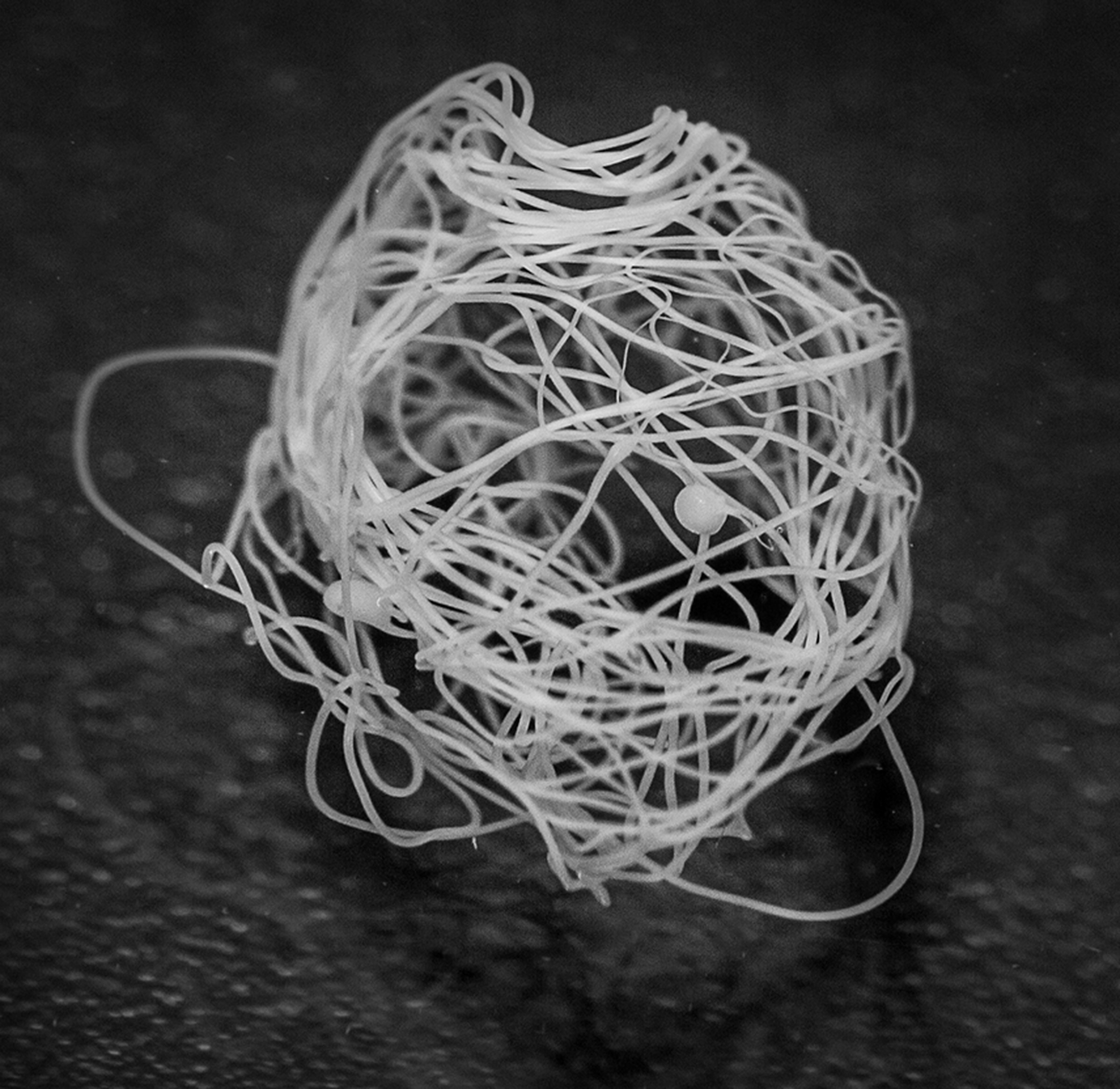 A nest of artificial spider silk fibers.
