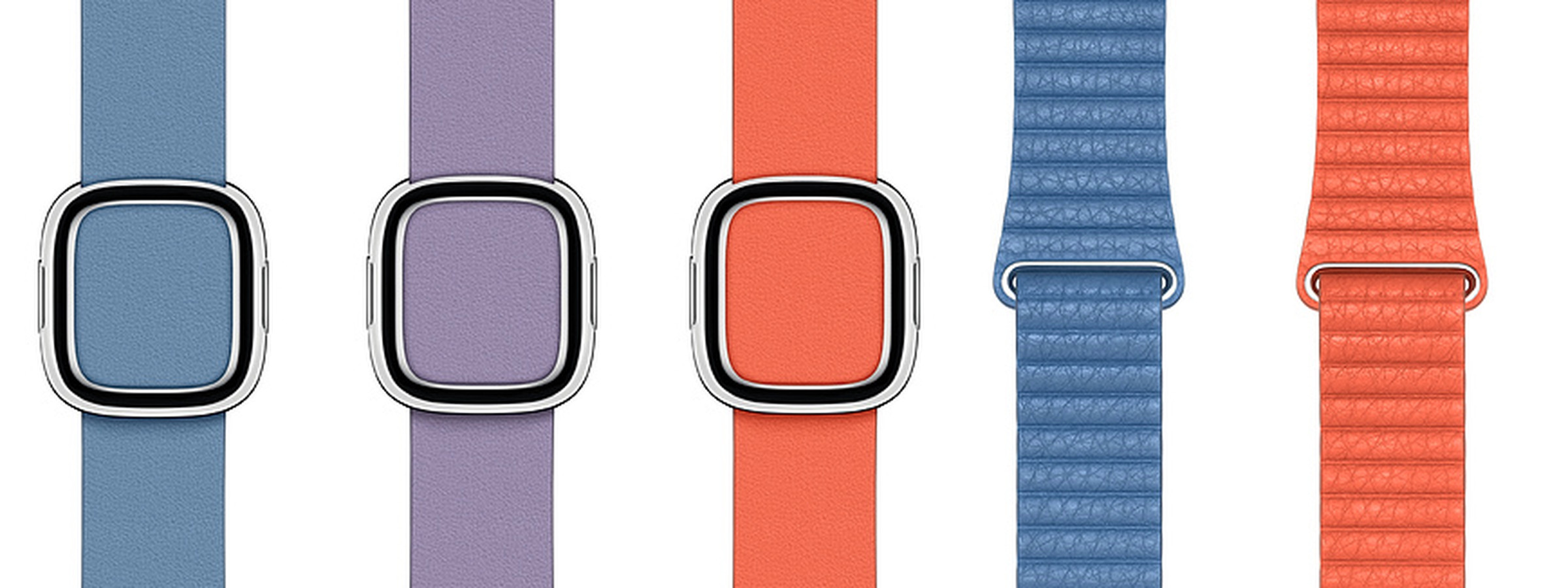 Modern Buckle in cornflower, lilac, and sunset; Leather Loops in cornflower and sunset.