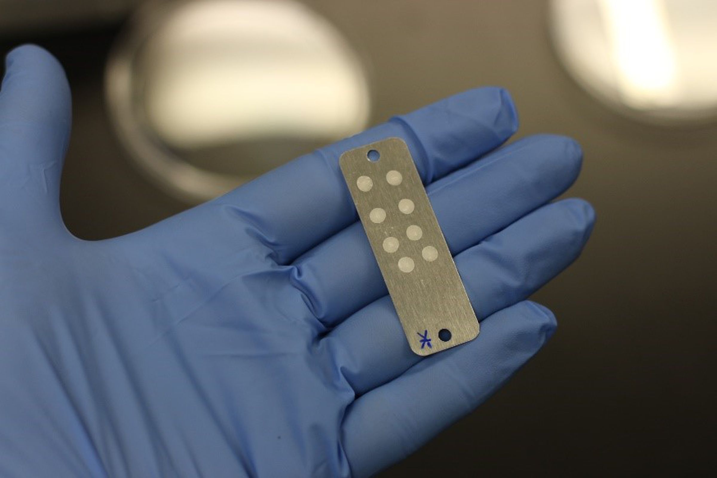 A small metal card used to transport bacteria.