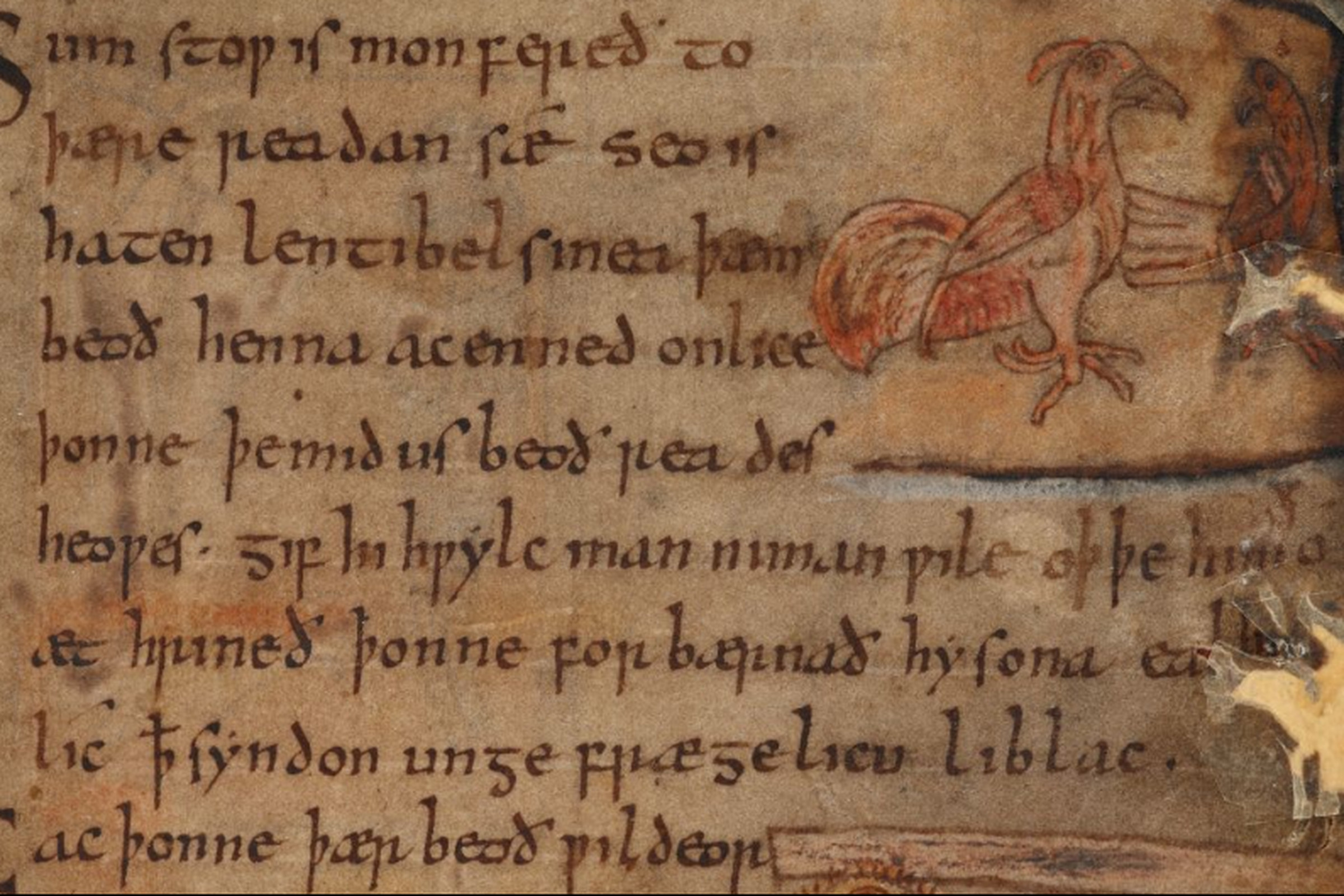 beowulf british library scan