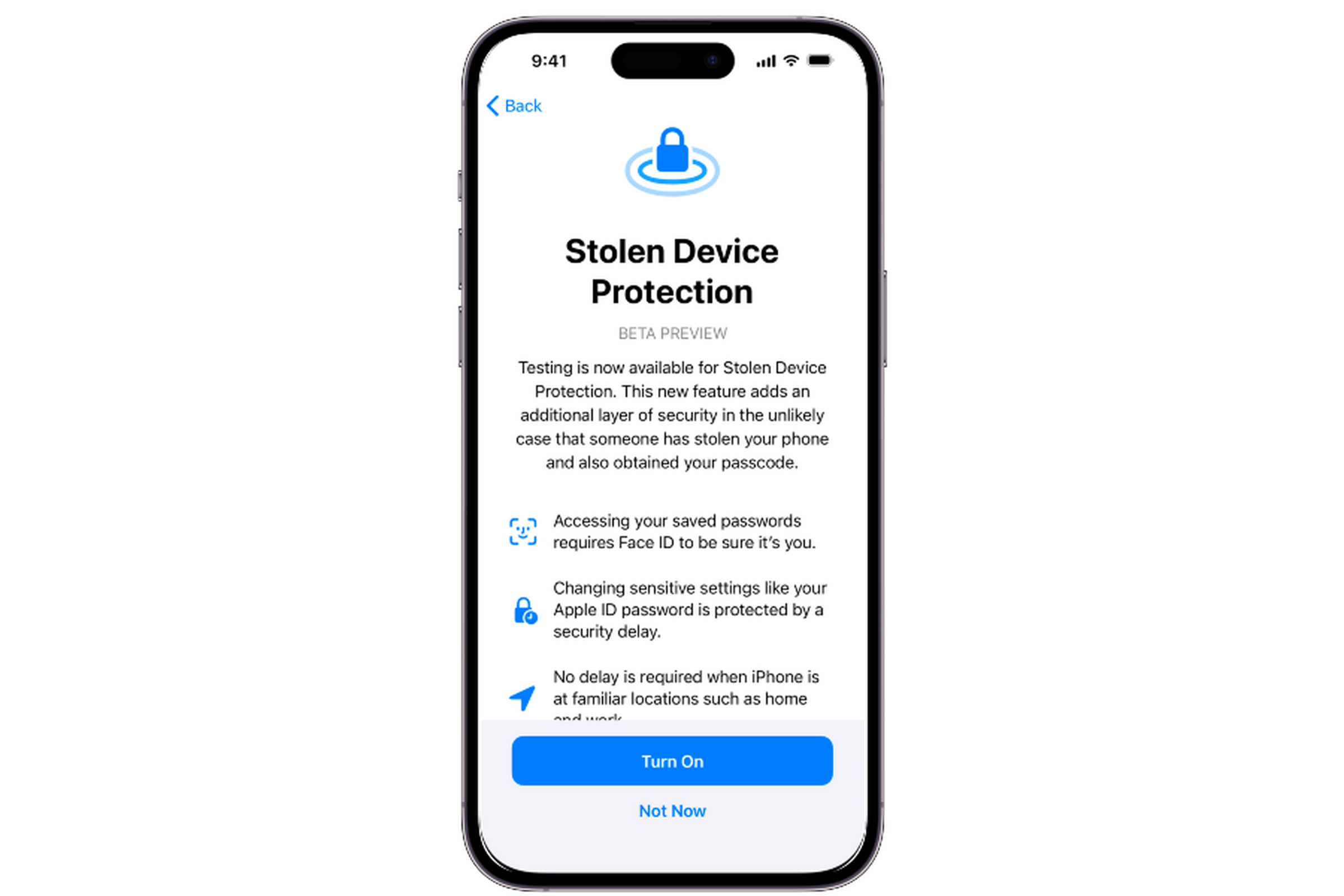 A picture of the Stolen Device Protection intro screen on an iPhone.