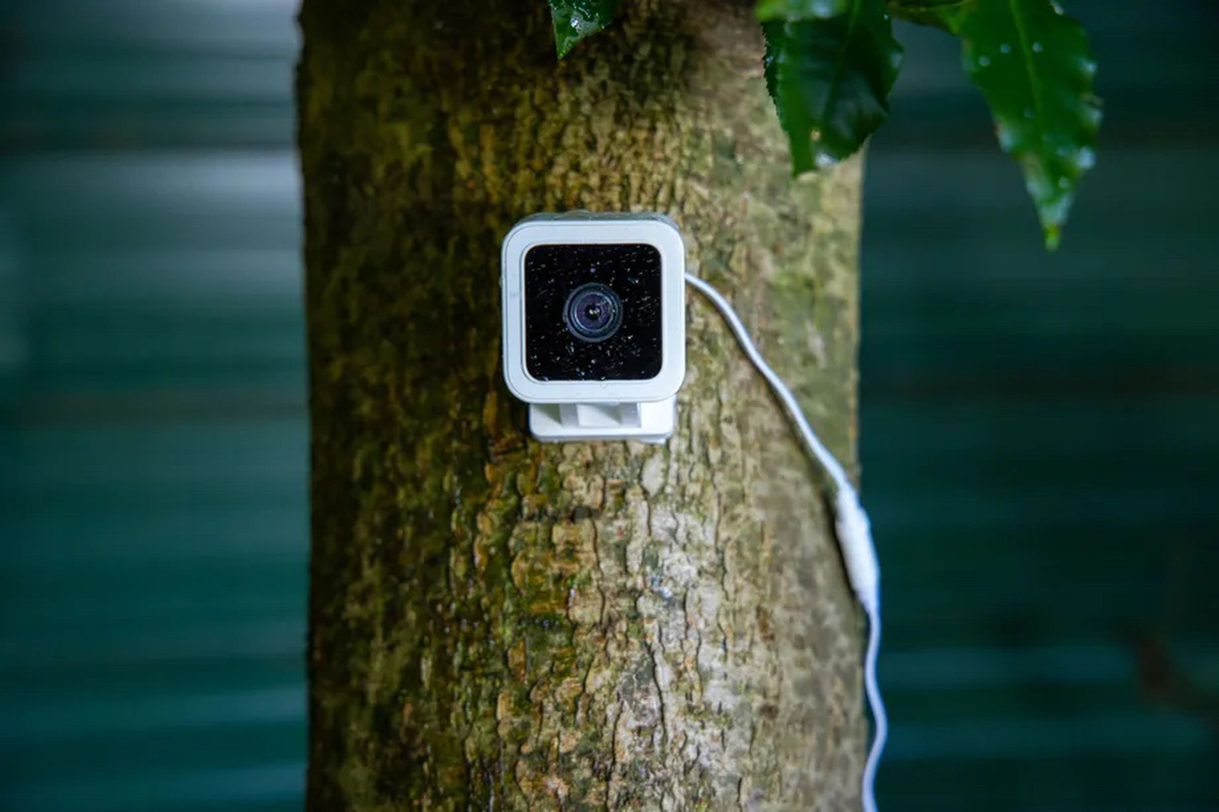 Wyze is bringing more AI-powered smarts to its security cameras.