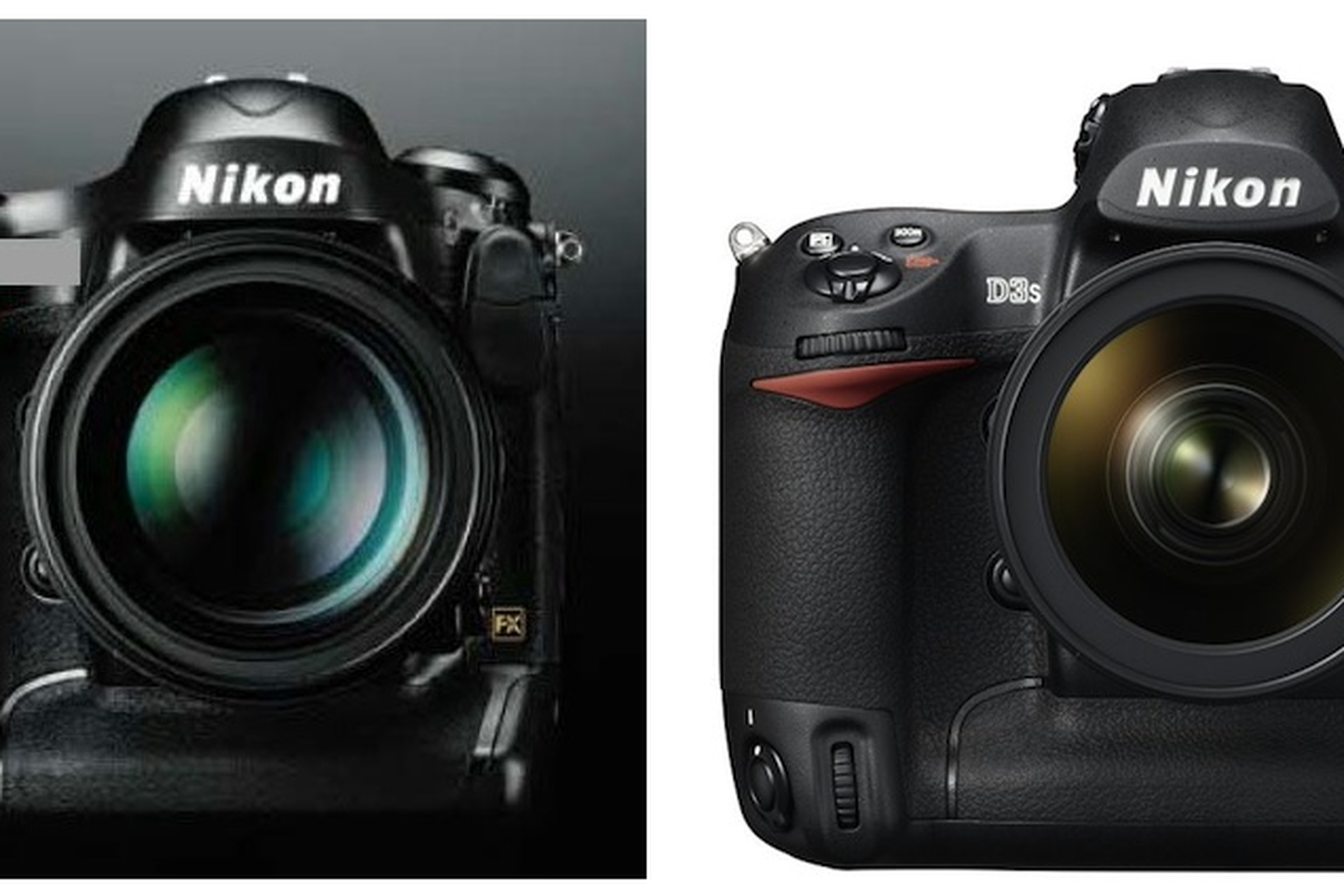 Nikon D4 D3 comparison RUMOR Nikon Rumors