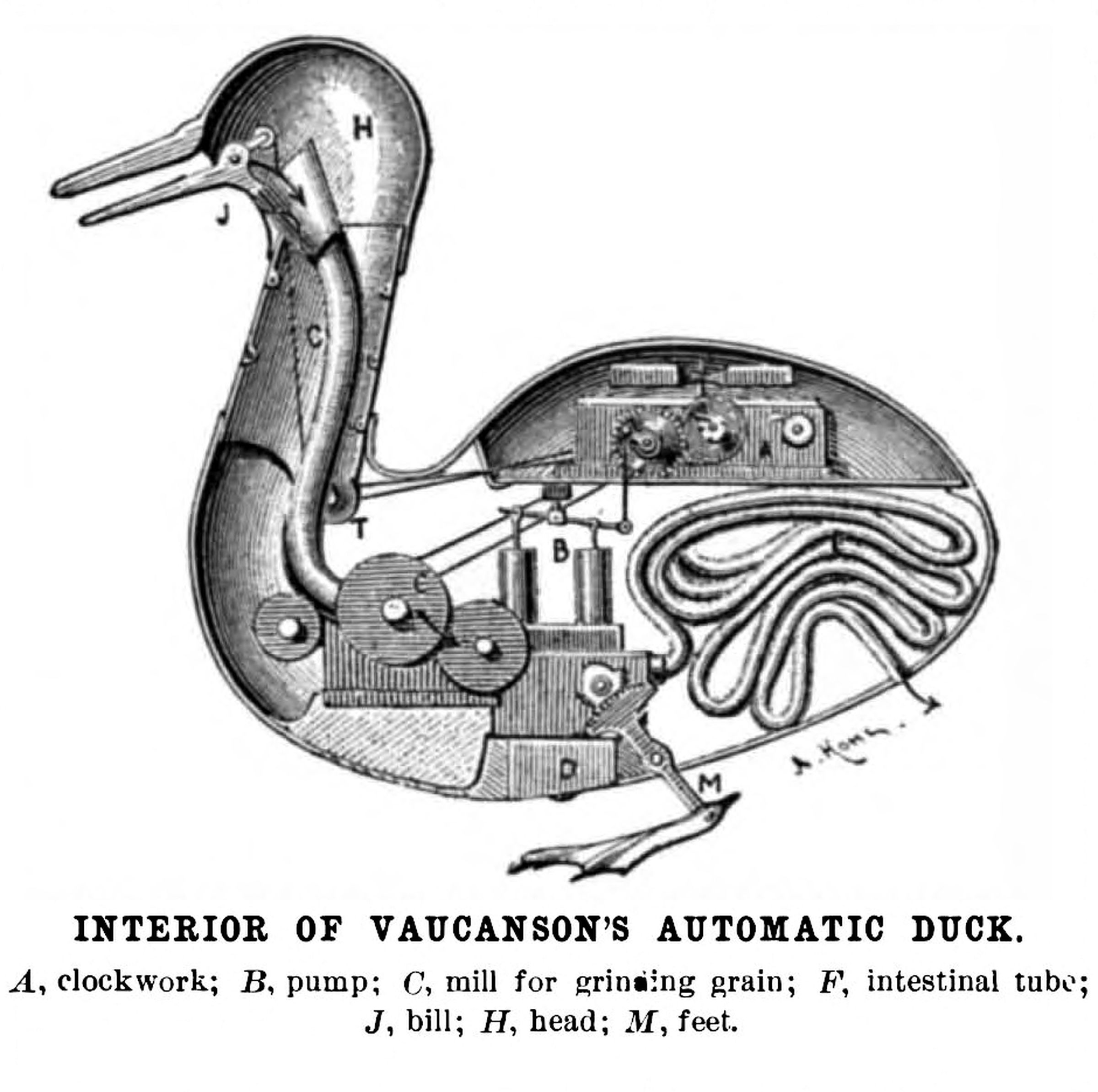 A diagram of Jacques de Vaucanson’s digesting duck (that mistakenly assumed the food was being processed). 