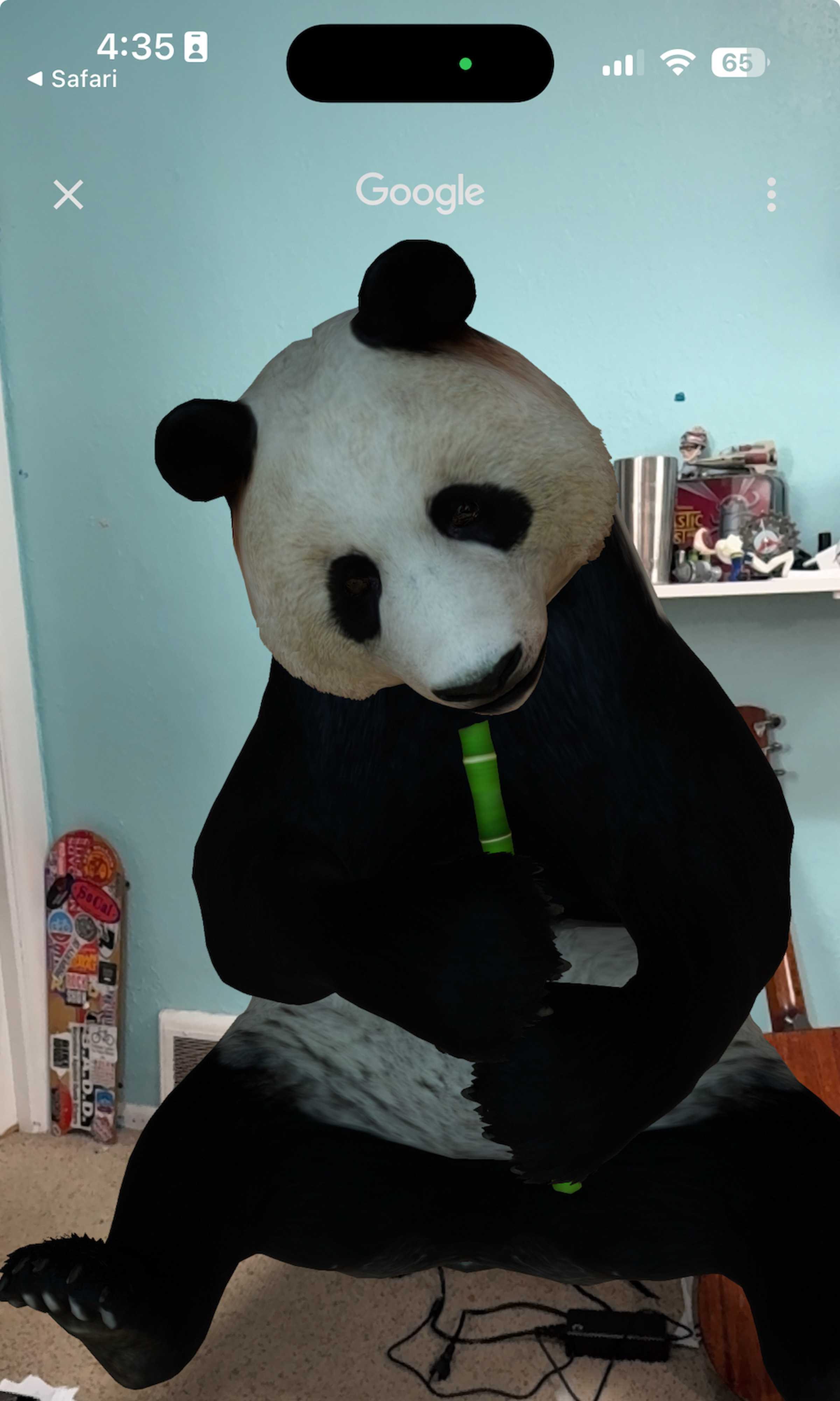 3D візуалізація великої панди, що сидить на підлозі офісу.