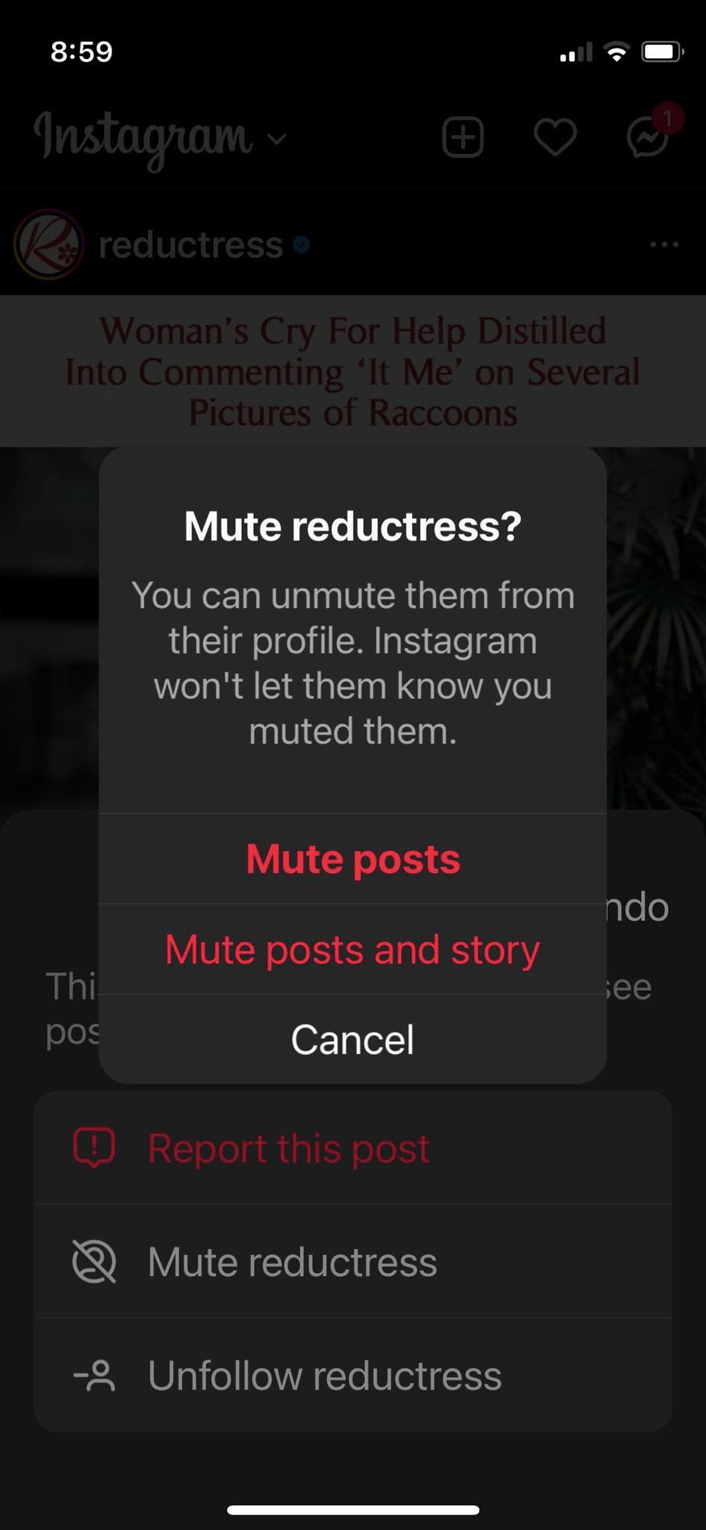 Pop-up menu to mute posts or posts plus stories.