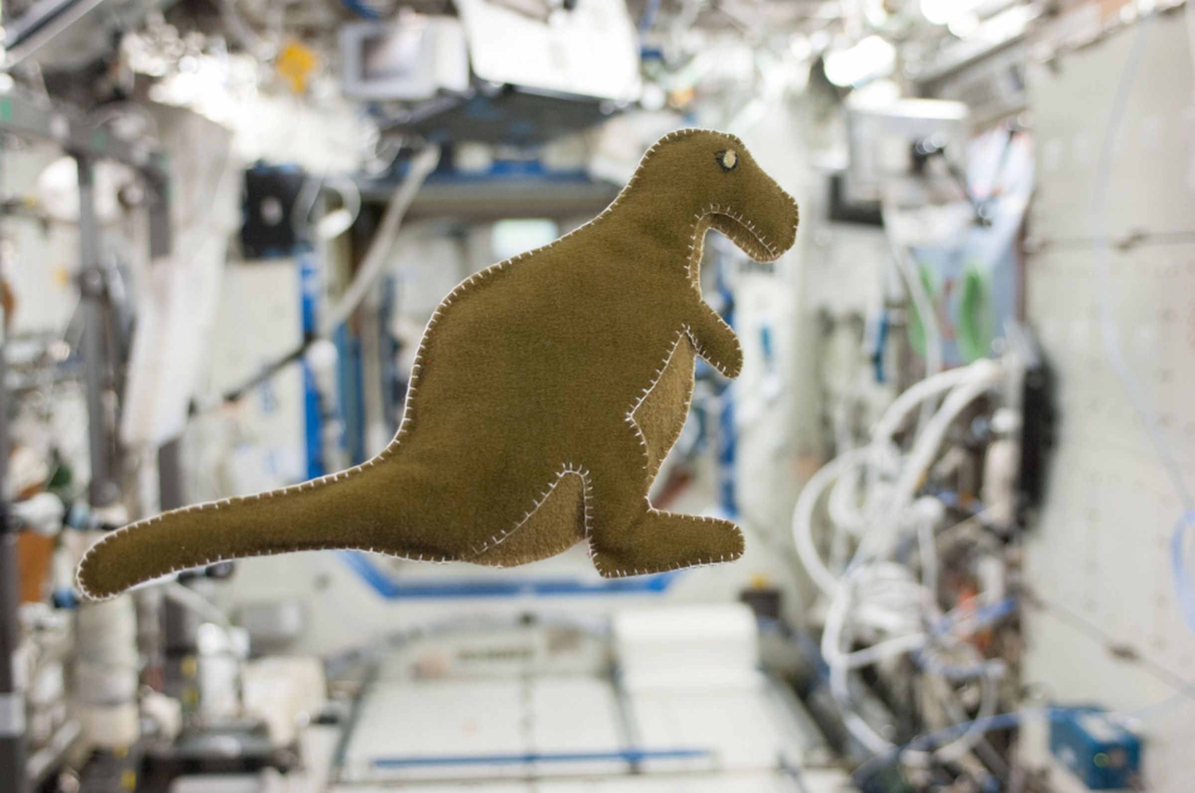 The dinosaur created by astronaut Karen Nyberg on the ISS.