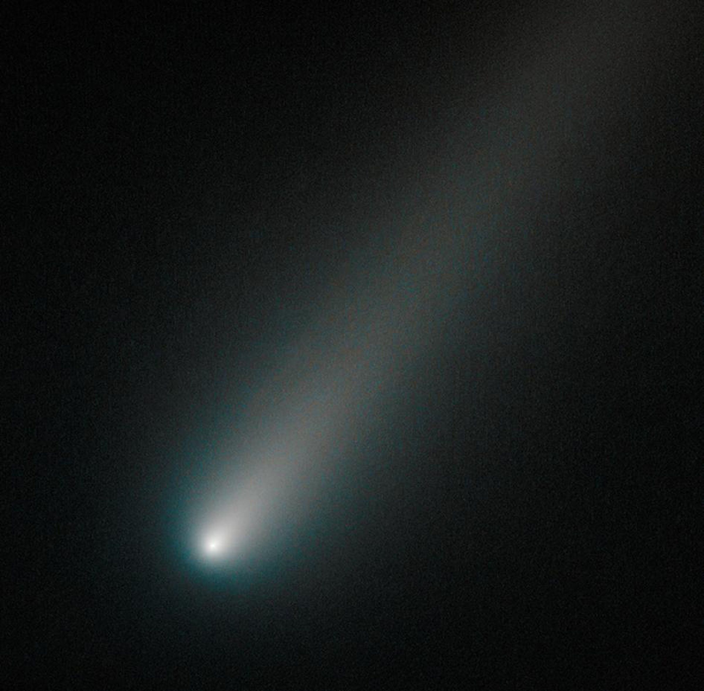The comet ISON and its tail of gas and dust, as seen by the Hubble Space Telescope