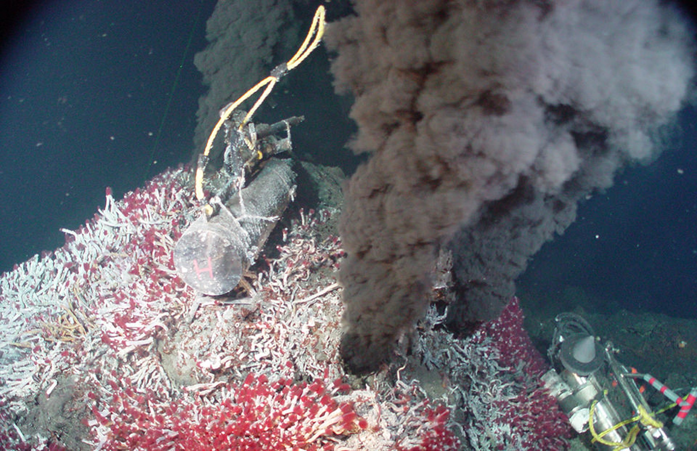 A hydrothermal vent on Earth.