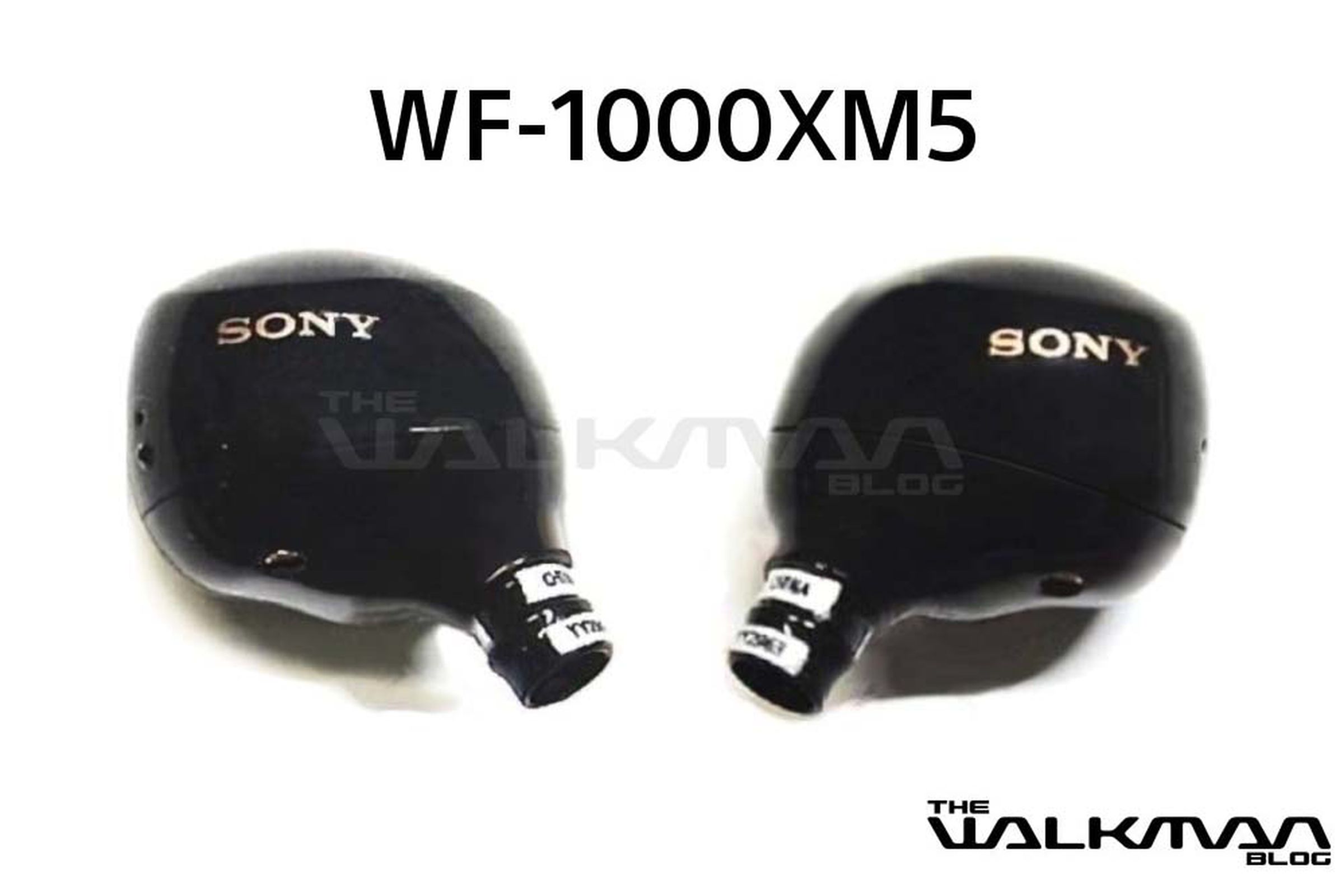 Two Sony WF-1000XM5 earbuds.