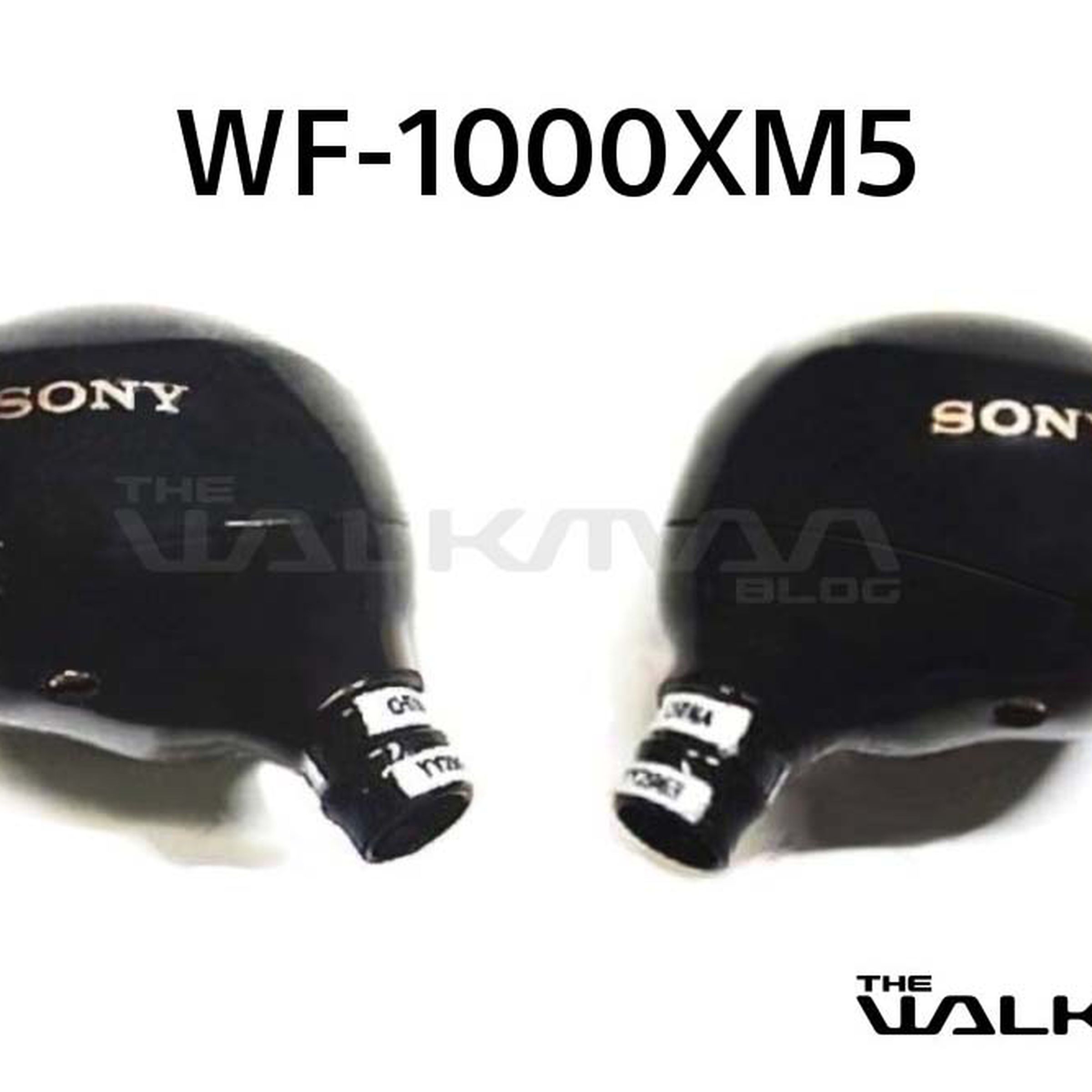 Two Sony WF-1000XM5 earbuds.