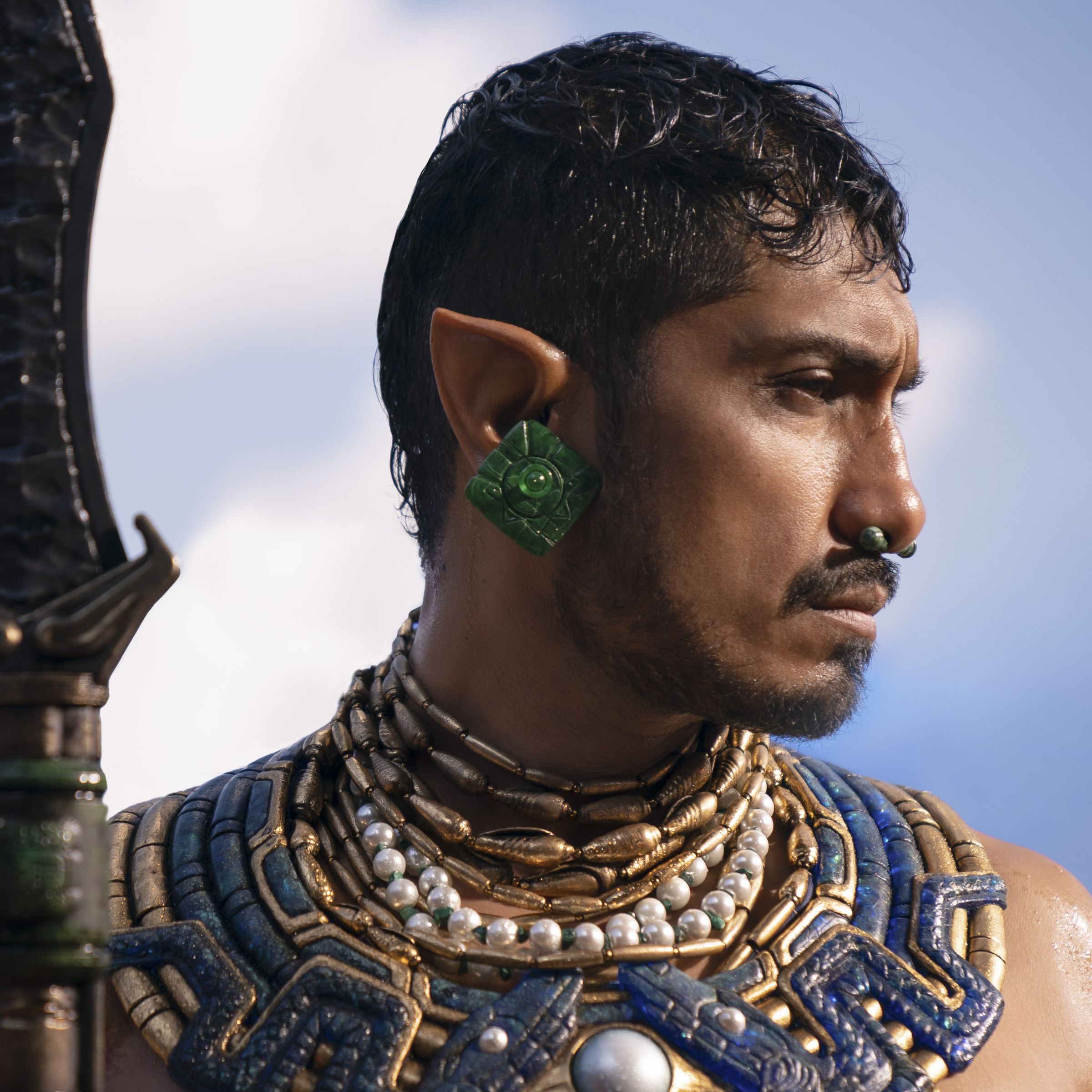 A tight profile shot of a man with pointed ears who is wearing many necklaces featuring intricate beadwork that form a wide collar down his chest. In the foreground is an ornate spear that the man is holding.